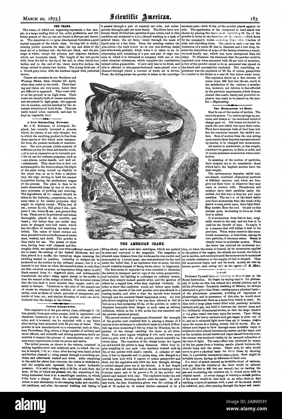 Sae eine Neue muffelprozeß. Baumwolle Schießpulver. Die amerikanische Kran. Die Dynamik der Wärme. Sound., Scientific American, 1875-03-20 Stockfoto