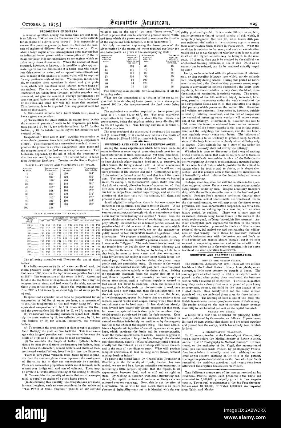 Proportionen von Kesseln. 321 "SUSPENDED ANIMATION ALS KONSERVIERUNGSMITTEL., Scientific American, 1875-10-09 Stockfoto