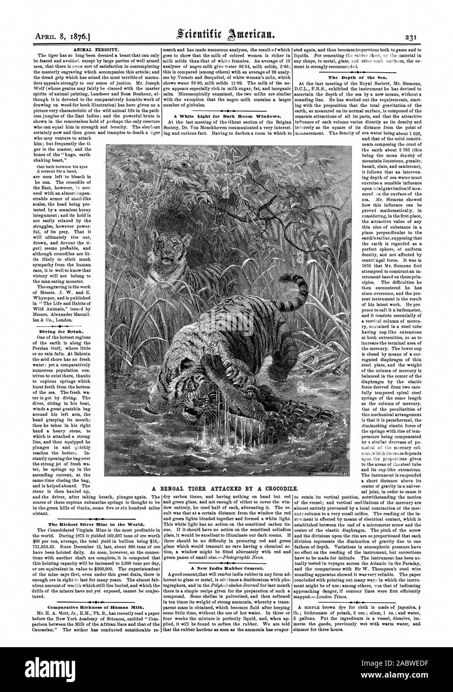 Tierische WILDHEIT. Tauchen für Trinken. Die reichsten Silberbergwerk der Welt. Vergleichende Reichtum menschlicher Milch. Ein weißes Licht für dunkle Zimmer Windows. BENGAL TIGER ANGEGRIFFEN VON EINEM CROCODIL ein neues Indien Rubber Cement. Die Tiefe des Meeres. Eine E., Scientific American, 1876-04-08 Stockfoto