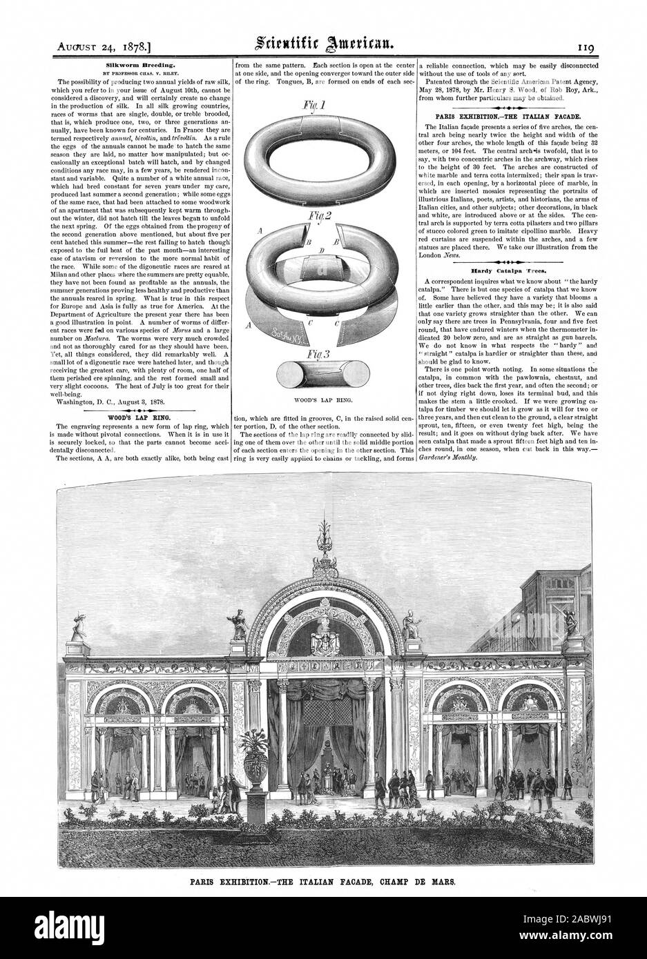 PARIS EXHIBITIONTHE ITALIENISCHEN FASSADE CHAMP DE MARS. Die Seidenraupenzucht. Von PROFESSOR CHAS. V. BMW. WOODS RUNDE RING. Hardy Catalpa Bäume., Scientific American, 1878-08-24 Stockfoto