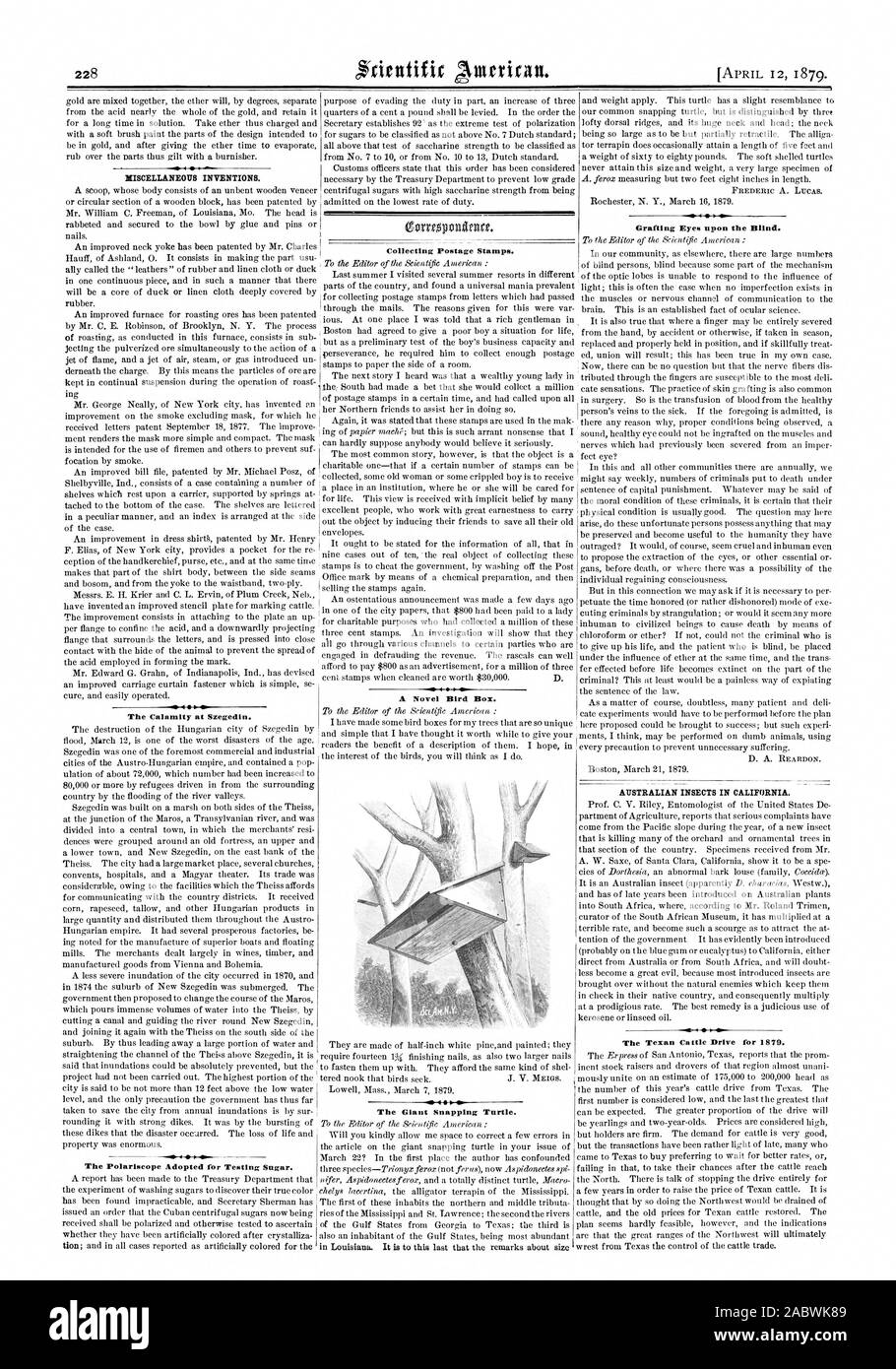 Sonstiges Erfindungen. Das Unheil in Szegedin. Die polariskop Angenommen für die Prüfung von Zucker. Das Sammeln von Briefmarken. Ein Roman Vogel. Die riesigen snapping Turtle. Australischer INSEKTEN IN KALIFORNIEN. Die texanische Rinder Laufwerk für 1879., Scientific American, 1879-04-12 Stockfoto