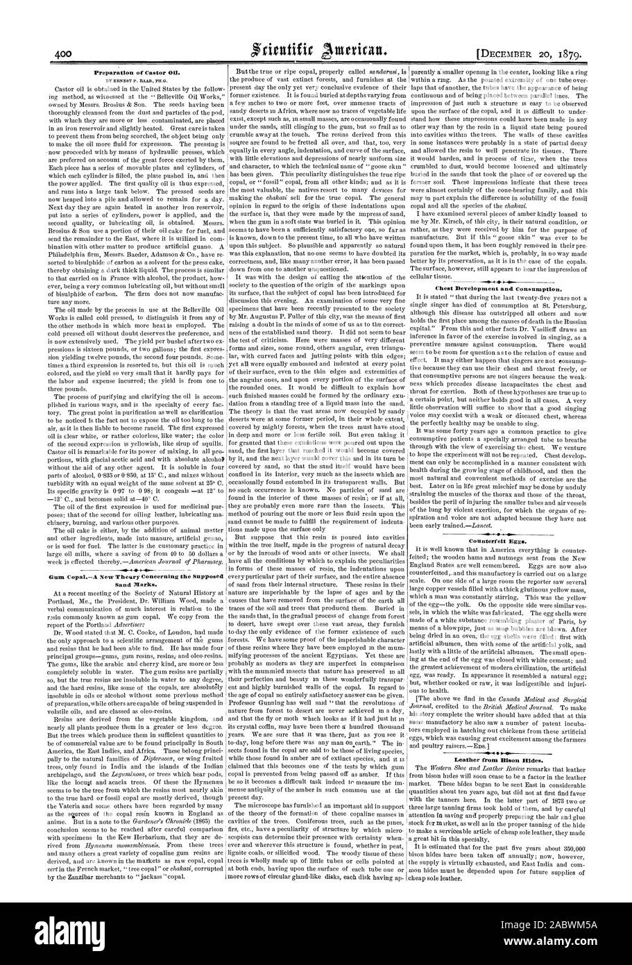 Vorbereitung von Castor 0. Von ERNEST S. RAAB Gummi CopalA Neue Theary über den angeblichen Sand markiert. Brust Entwicklung und Konsum. Gefälschte Eier. Leder vom Bison versteckt., Scientific American, 1879-12-20 Stockfoto