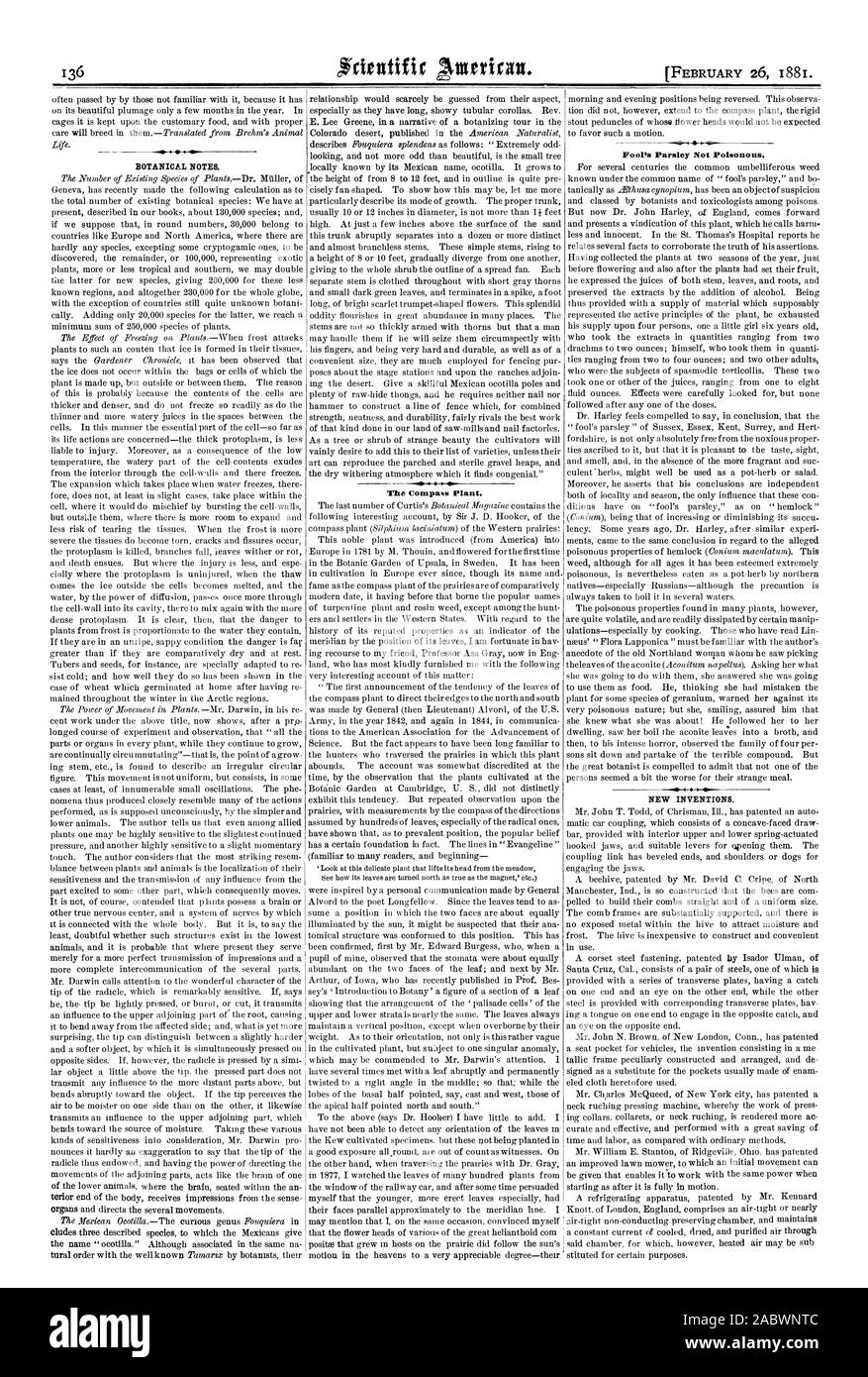 Botanische Notizen. Der Kompass Pflanze. Fool's Petersilie nicht giftig. 1 1 neue Erfindungen., Scientific American, 1881-02-26 Stockfoto