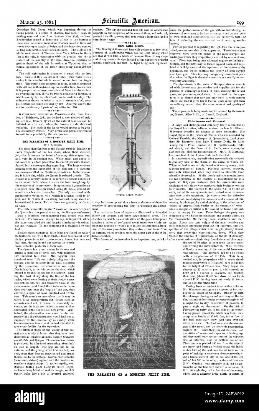 Von C.F. HALTER. Chimborazo und Cotopaxi. Die Parasiten des Monsters, QUALLEN., Scientific American, 1881-03-26 Stockfoto
