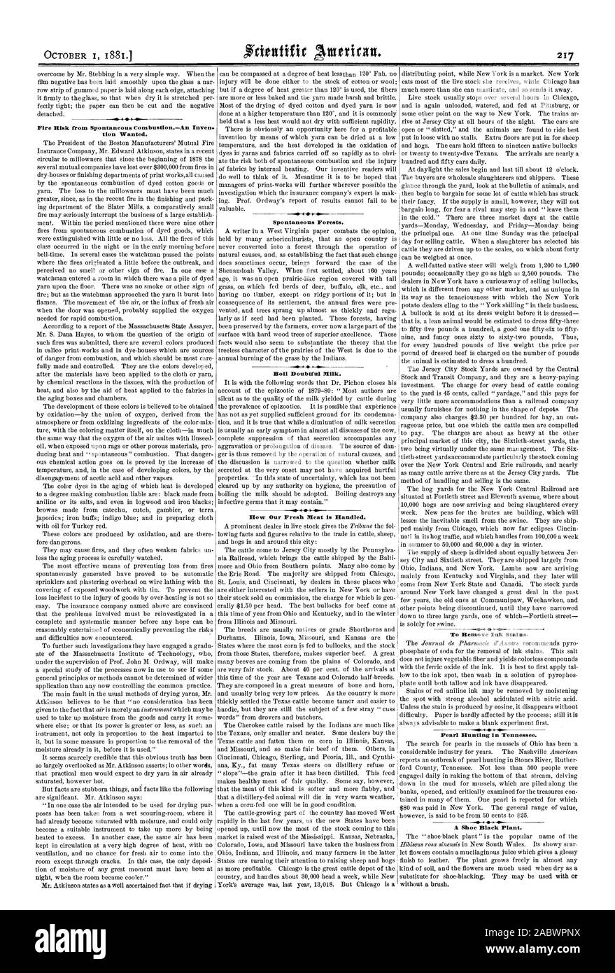 Brandgefahr aus spontanen CombustionAn Vorräte.- wollte. Spontane Wälder. Kochen Fit Milch. 4 Wie unser frisches Fleisch bearbeitet wird. Pearl Jagd in Tennessee. Ein Schuh Schwarz., Scientific American, 1881-10-01 Stockfoto