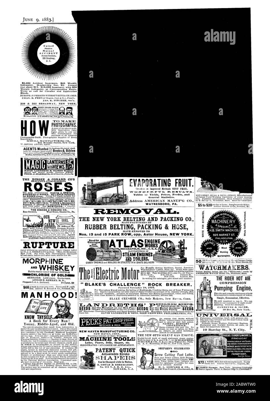 Fotos H DER NEW YORK BELTING UND VERPACKUNG CO HERSTELLER VON Preise GUMMIGURTE VERPACKUNG & SCHLAUCH ENTFERNT T TLASCIVIE DAMPFMASCHINEN'. "BLAKE's Challenge' Hydraulikhammer. Werkzeugmaschinen PATENT SCHNELL verstellbarer Anschlag SHAPER VERDUNSTEN von Obst. Tabellen der Erträge Preise Prolitsand Allgemeine Statistiken. Adresse AMERICAN MAN 171 g CO.WAYNESBOR PA. Die DINGEE & CONARD CO ROSE ERKENNE DICH SELBST Uhrmacher. Der REITER HEISSE LUFT KOMPRESSION Pumpen Motor unserer NEUEN BRUCH MORPHIN' Chlorwasserstoff der GOLDsim Männlichkeit! Maschinen eine %T-I'T INTJE ELSAL. SYRACUSEV. V, Scientific American, 1883-06-09 Stockfoto