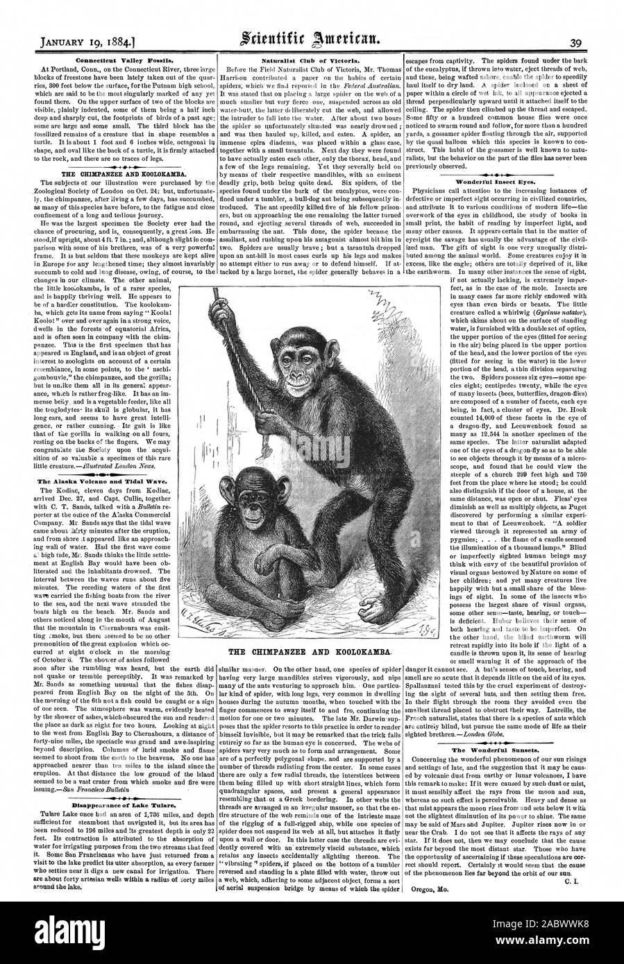 Connecticut Valley Fossilien. Der Schimpanse und KOOLOKAMBA. Das Alaska Volcano und der Flutwelle. Verschwinden von Lake Tulare. Naturalist Club von Victoria. Der Schimpanse und KOOLOKABIBA. Wundervolle Insekt Augen. 4 0 Die wundervollen Sonnenuntergänge., Scientific American, 1884-01-19 Stockfoto