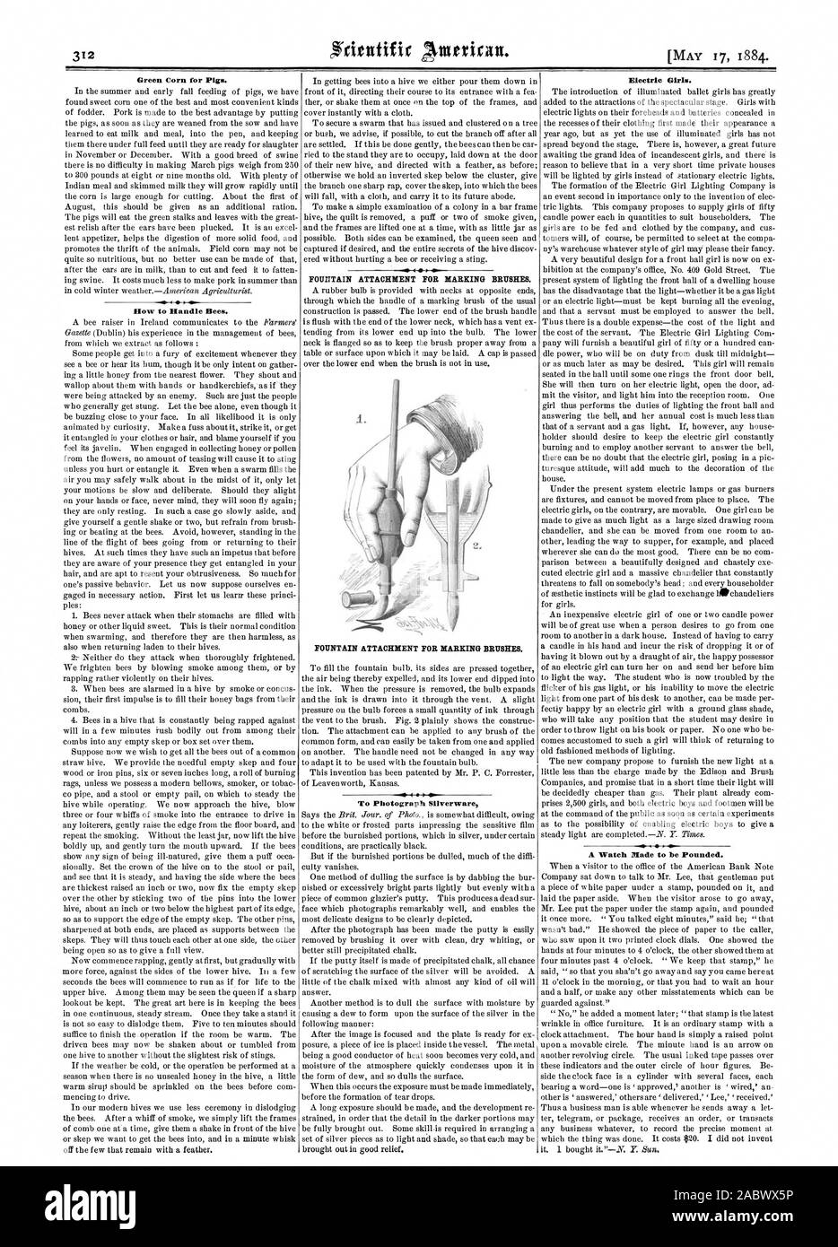 Grüner Mais für Schweine. Den Umgang mit Bienen. Brunnen ANHANG FÜR NARKING BÜRSTEN. Brunnen ANHANG FÜR DIE KENNZEICHNUNG VON BÜRSTEN. Besteck elektrische Mädchen zu fotografieren. Eine Uhr zu zerstoßen., Scientific American, 1884-05-17 Stockfoto