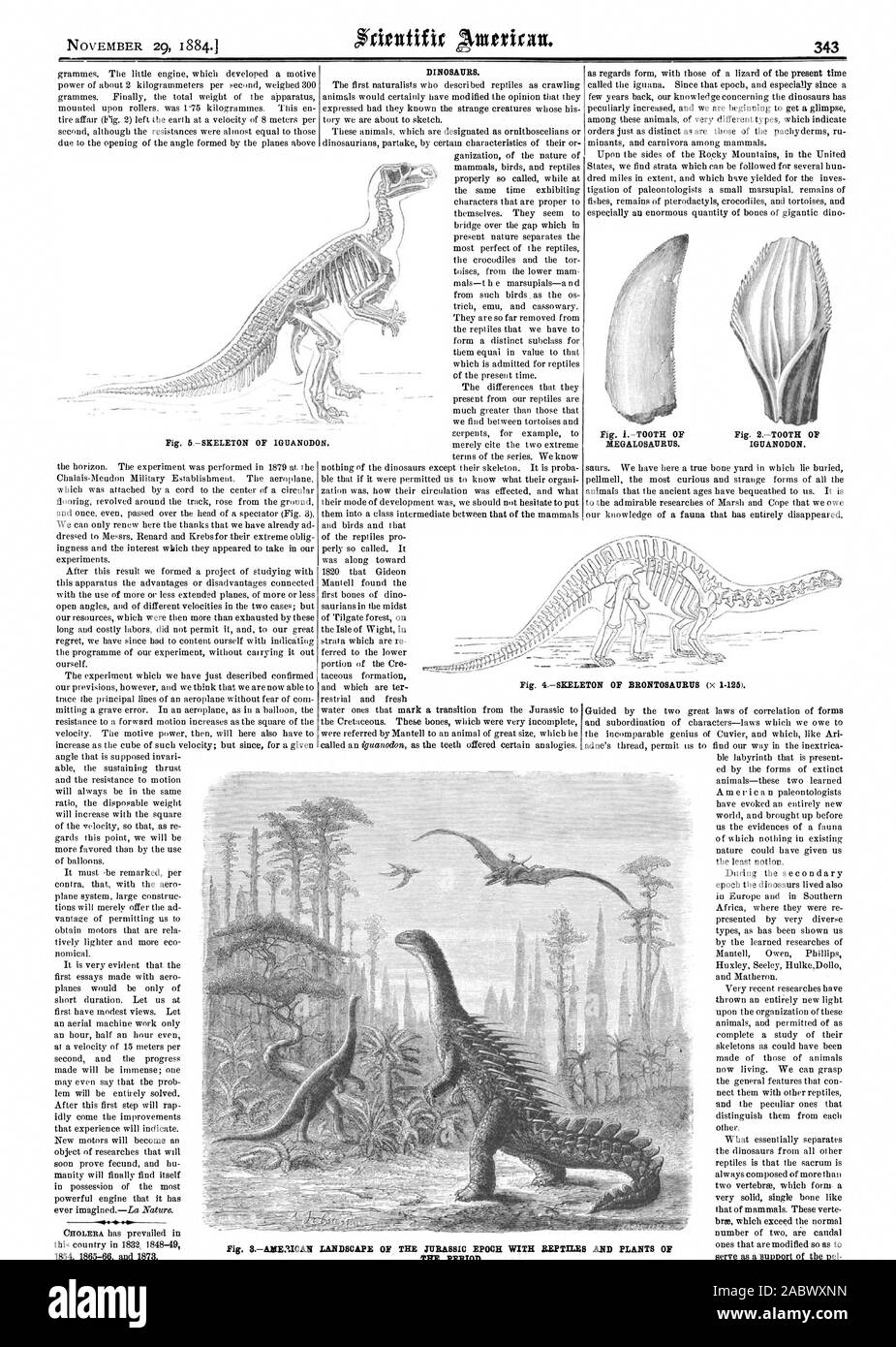 NOVEMBER 29 1884.1 343 Dinosaurier. Abb. 8 Lage 3 ICAN LANDSCHAFT DER JURASSIC EPOCHE MIT REPTILIEN UND PFLANZEN DER PERIODE., Scientific American, 1884-11-29 Stockfoto