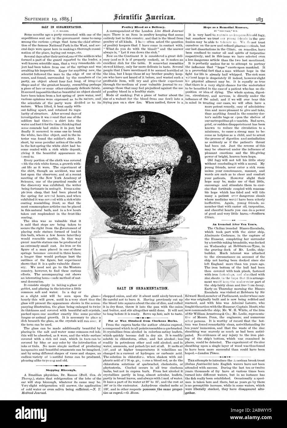 Salz in der ORNAMENTIK. Stoppen Hiccough. Geflügel Blut als Delikatesse. Fett oder Wachs von Cinchona Barks gewonnen. Hoffnung als Abhilfemaßnahme. .4 Eine gepanzerte Nach zehn Jahren., Scientific American, 1885-09-19 Stockfoto Salz in der ORNAMENTIK. Stoppen Hiccough. Geflügel Blut als Delikatesse. Fett oder Wachs von Cinchona Barks gewonnen. Hoffnung als Abhilfemaßnahme. .4 Eine gepanzerte Nach zehn Jahren., Scientific American, 1885-09-19 Stockfoto