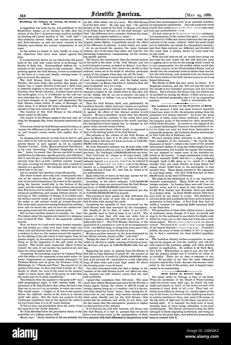 PlIodifYing das Klima durch die Schließung der Straße von Belle Isle. zwei Ströme mit der Unterschied in der Temperatur muss der Audubon Gesellschaft für den Schutz der Vögel. 4 64 Vögel durch elektrisches Licht getötet. kam in Kontakt mit ihm. 29. MAI 1886. , Scientific American, 1886-05-29 Stockfoto