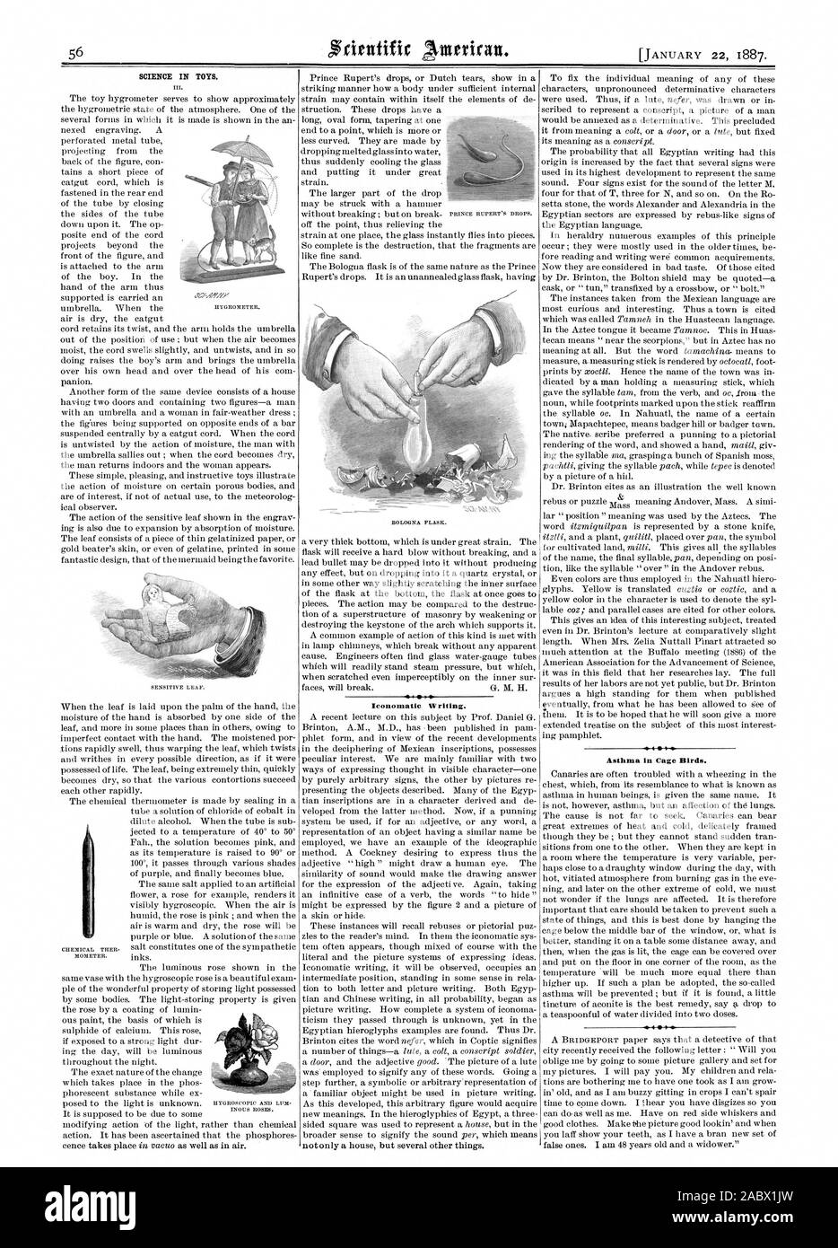 Wissenschaft in Spielzeug. Iconomatie Schreiben. Asthma in den Käfig Vögel., Scientific American, 1887-01-22 Stockfoto
