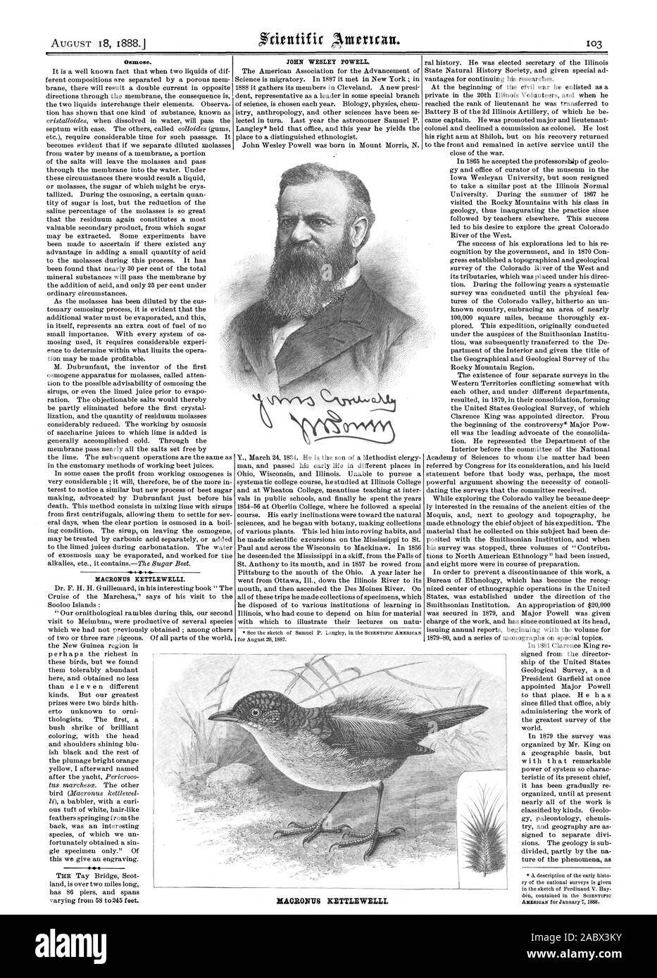 Osmose. MACRONUS WASSERKOCHER WELLI. JOHN Wesley Powell. DUMONT'S KETTLEWELLI, Scientific American, 1888-08-18 Stockfoto
