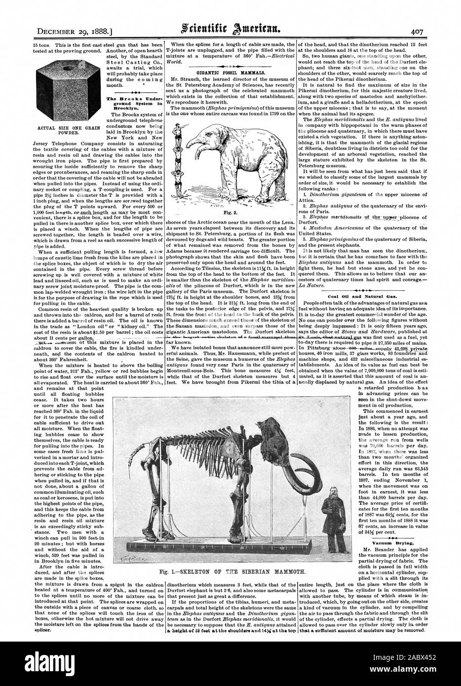 Die Bäche unter Boden System in Brooklyn. - Ein Bild. 2. ct. Kohle Erdöl und Erdgas. Vakuumtrocknen. Tatsächliche Größe ein Pulver. Korn Abb. 1 SKELETT DES SIBIRISCHEN KAMM TH., Scientific American, 1888-12-29 Stockfoto