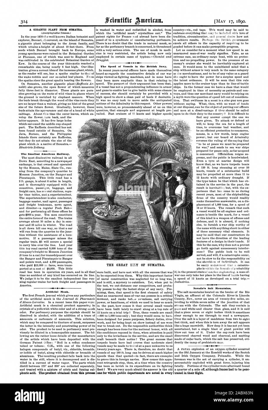 Eine gigantische Anlage PROM SUMATRA. Die kleinste der amerikanischen Eisenbahn. Künstliche Moschus. Die Geschwindigkeit der Schiffe der britischen Marine. Einen für die öffentlichen Dienststellen in alle 4 1-4 vermerkt sind. Nevada's Salz Berge. behandelt in ihren Flug. Die große Lily von Sumatra., Scientific American, 1890-05-17 Stockfoto