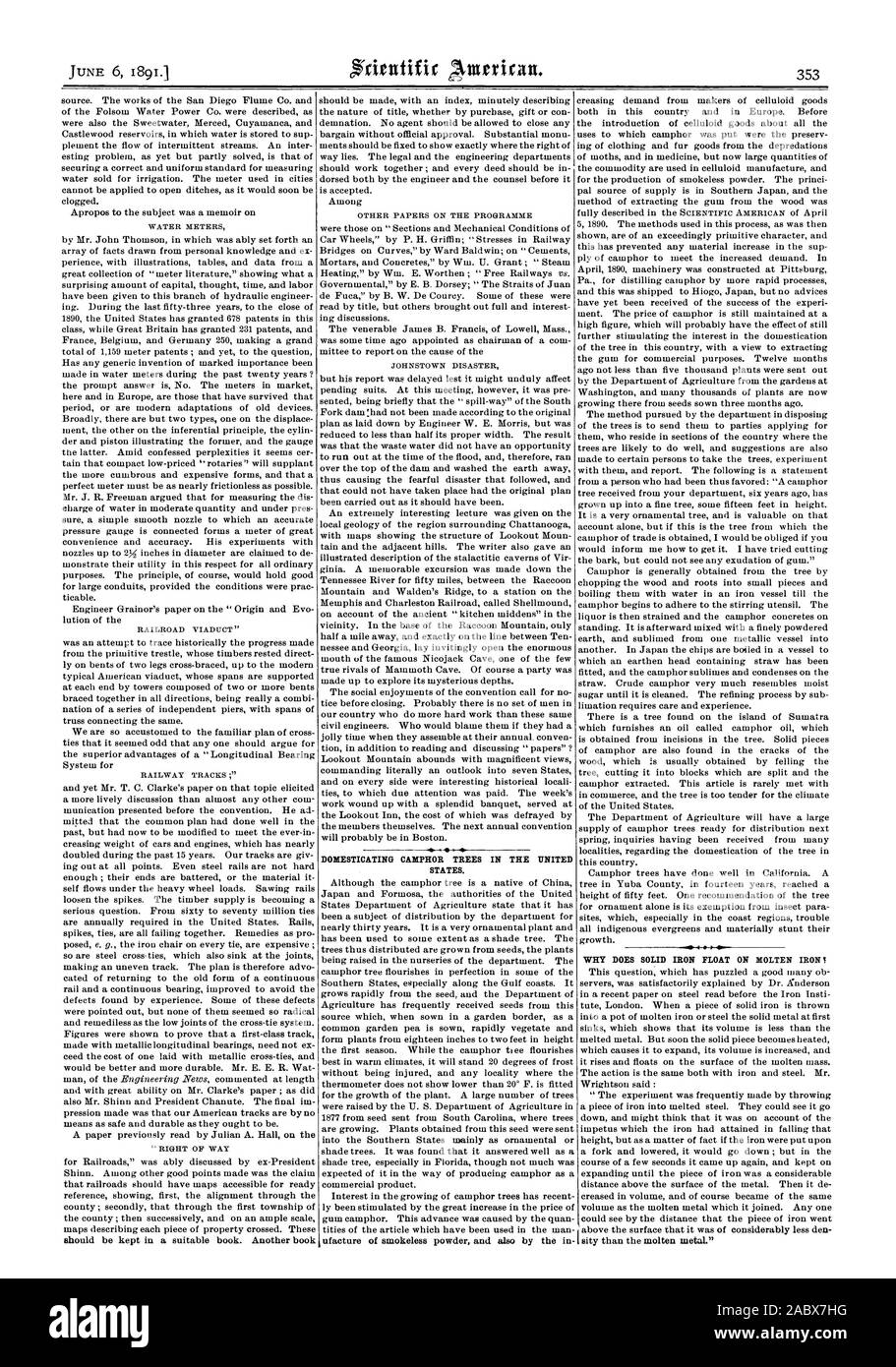 Domestikation KAMPFER BÄUME IN DEN VEREINIGTEN STAATEN., Scientific American, 1891-06-06 Stockfoto