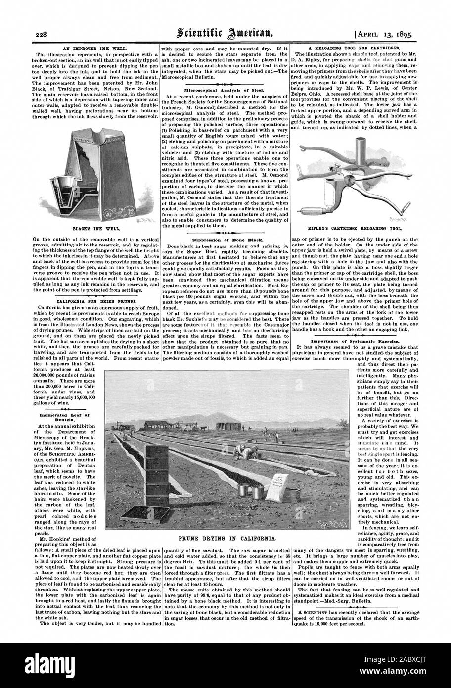 Eine verbesserte Tinte gut. Die schwarze Tinte gut. Mikroskopische Analyse von Stahl. Ein erneutes Laden WERKZEUG FÜR PATRONEN. RIPLEY'S PATRONE nachladen. Kalifornische Sonne getrockneten Pflaumen. Verbrannt Blatt von Bentz. Unterdrückung von Knochen Schwarz. Bedeutung der systematischen Übung. PRUNE TROCKNUNG IN KALIFORNIEN., Scientific American, 1895-04-13 Stockfoto