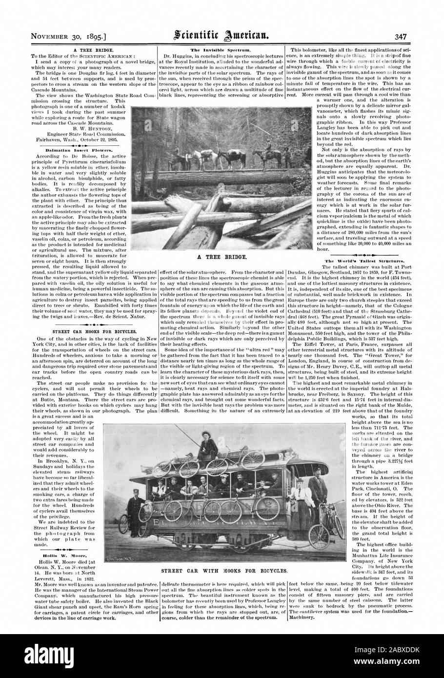 Ein Baum Brücke. Dalmatiner Insekt Blumen. STREET CAR HAKEN FÜR FAHRRÄDER. Die unsichtbaren Spektrum. Der weltweit höchsten Gebäude. Ein Baum Brücke. Straße AUTO MIT HAKEN FÜR FAHRRÄDER. Hollis W. Moore., Scientific American, 1895-11-30 Stockfoto