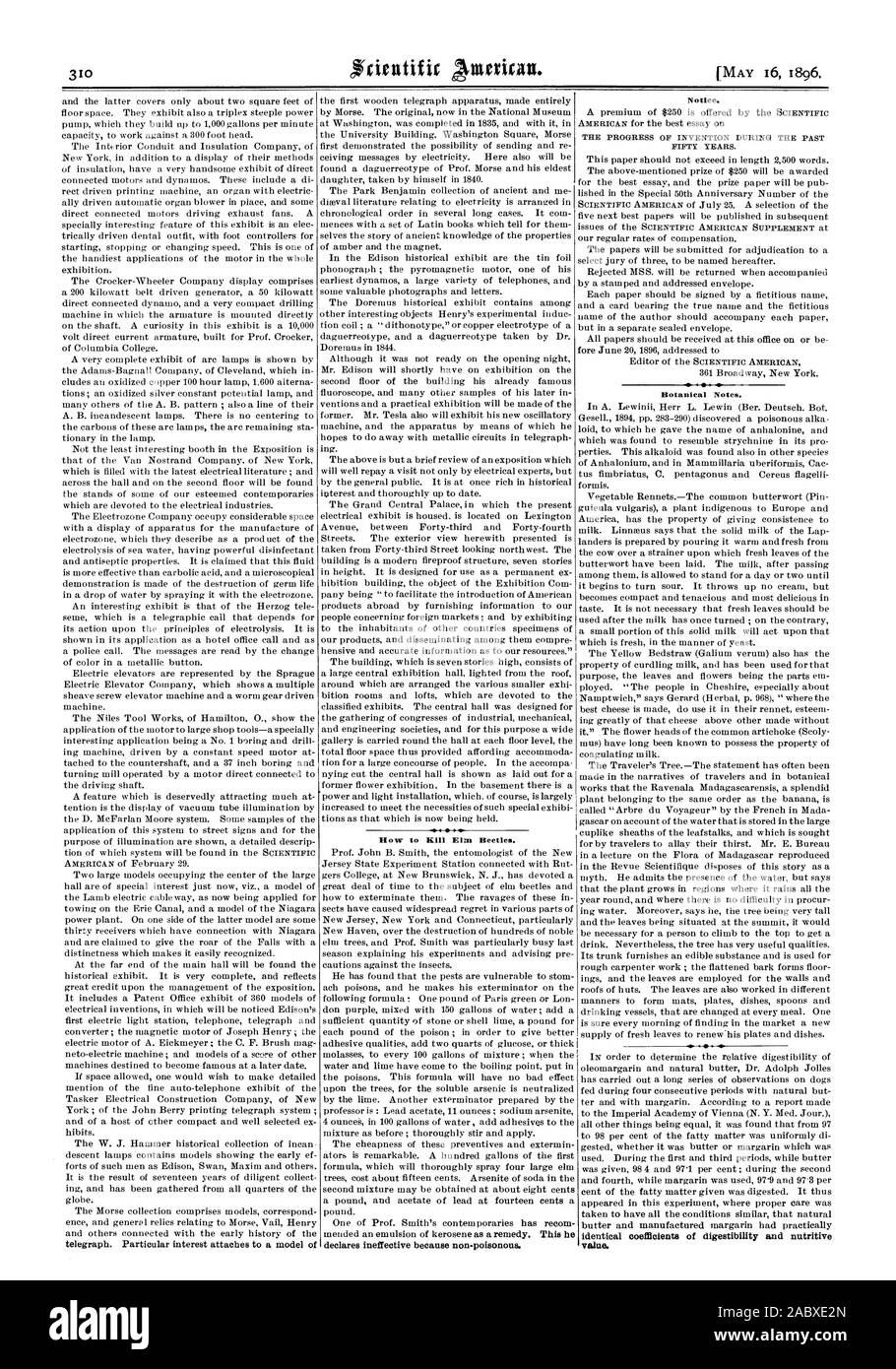 Wie zu töten Elm Käfer. Botanische Notizen., Scientific American, 1896-05-16 Stockfoto