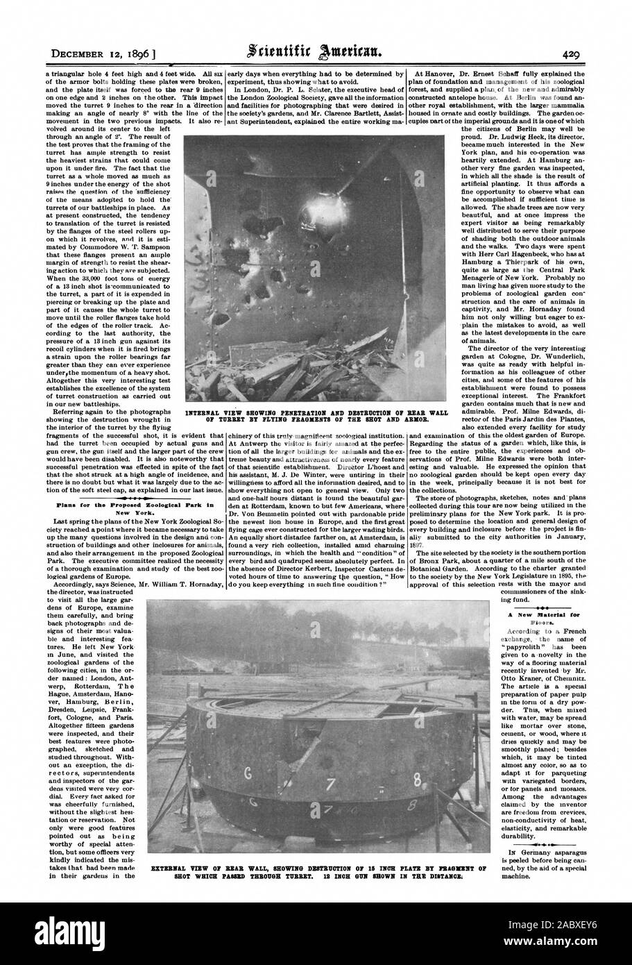 Pläne für die Vorgeschlagenen zoologische Park in New York. Ein neues Material für Böden. Interne ANSICHT das Eindringen und die Zerstörung der Rückwand der Revolver fliegende TEILE DER SCHUSS und ein RMOR. 44. Externe ANSICHT DES HINTEREN WAND, ZERSTÖRUNG VON 15 Zoll Platte von Fragment von Geschossen, DIE DURCH REVOLVER. 12 ZOLL MIA GEZEIGT IN DER FERNE., Scientific American, 1896-12-12 Stockfoto