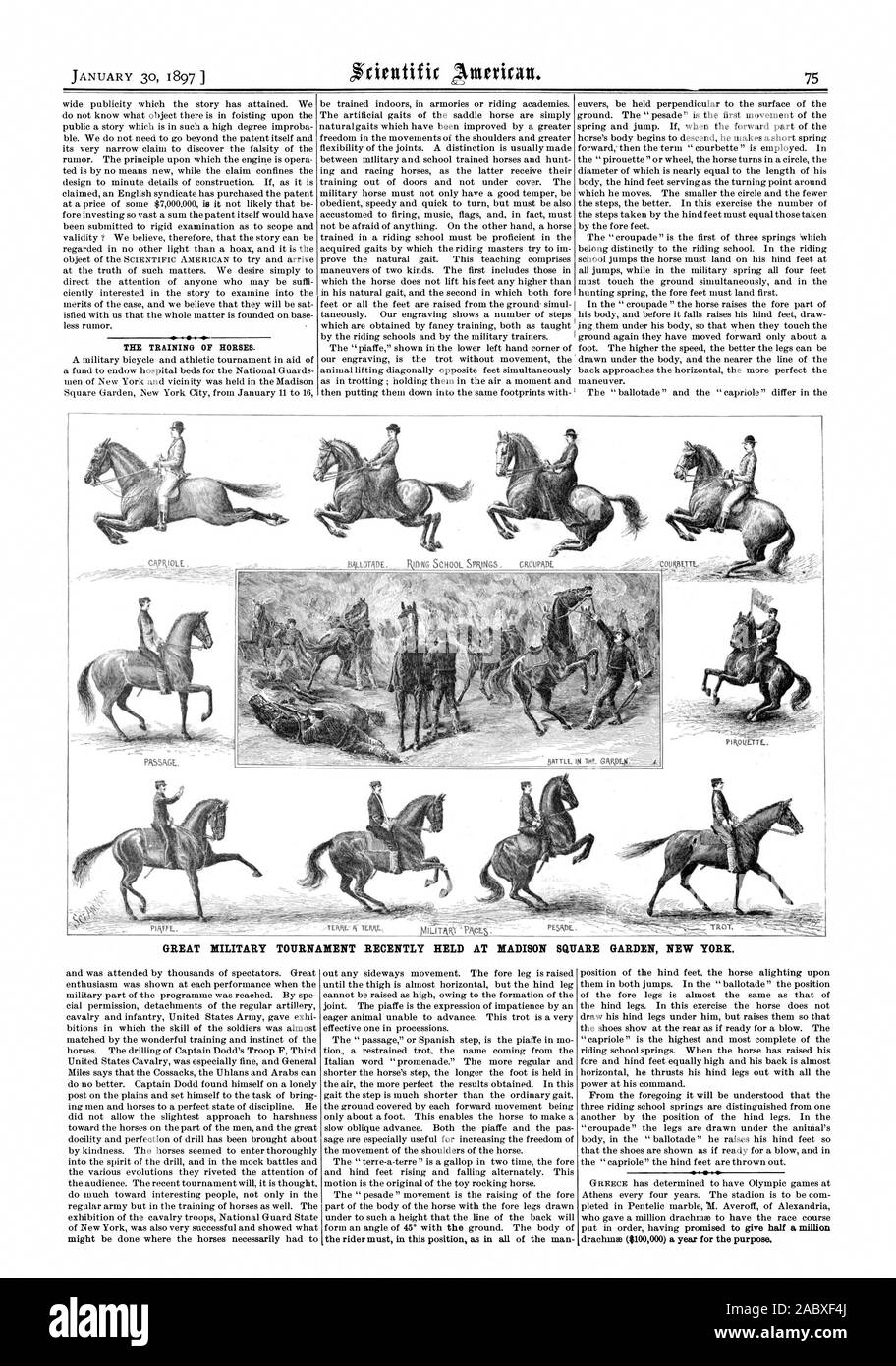 Die Ausbildung der Pferde. Großen militärischen Turnier hielt vor kurzem im Madison Square Garden NEW YORK Drachme ($ 100000) ein Jahr für die Zweck., Scientific American, 1897-01-30 Stockfoto