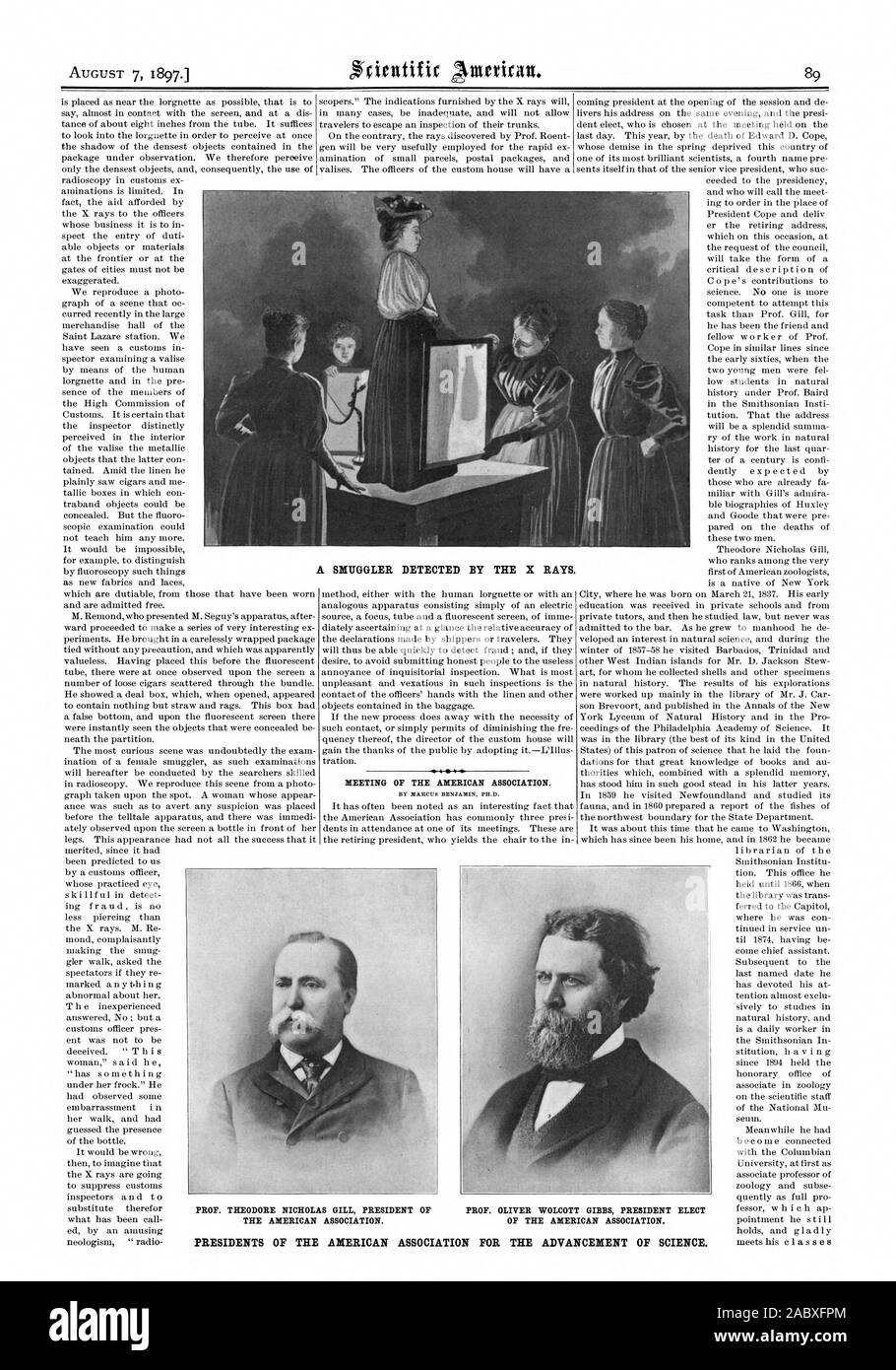 Tagung der American Association. Von MARCUS BENJAMIN Ph.D. PROF. THEODORE NICHOLAS GILL PRÄSIDENT DER AMERICAN ASSOCIATION. Ein Schmuggler vom entdeckt die X-Strahlen. Präsidenten DER AMERIKANISCHEN VEREINIGUNG FÜR DIE FÖRDERUNG DER WISSENSCHAFT. PROF. OLIVER WOLCOTT GIBBS GEWÄHLTER PRÄSIDENT DES AMERIKANISCHEN VERBANDES., Scientific American, 1897-08-07 Stockfoto