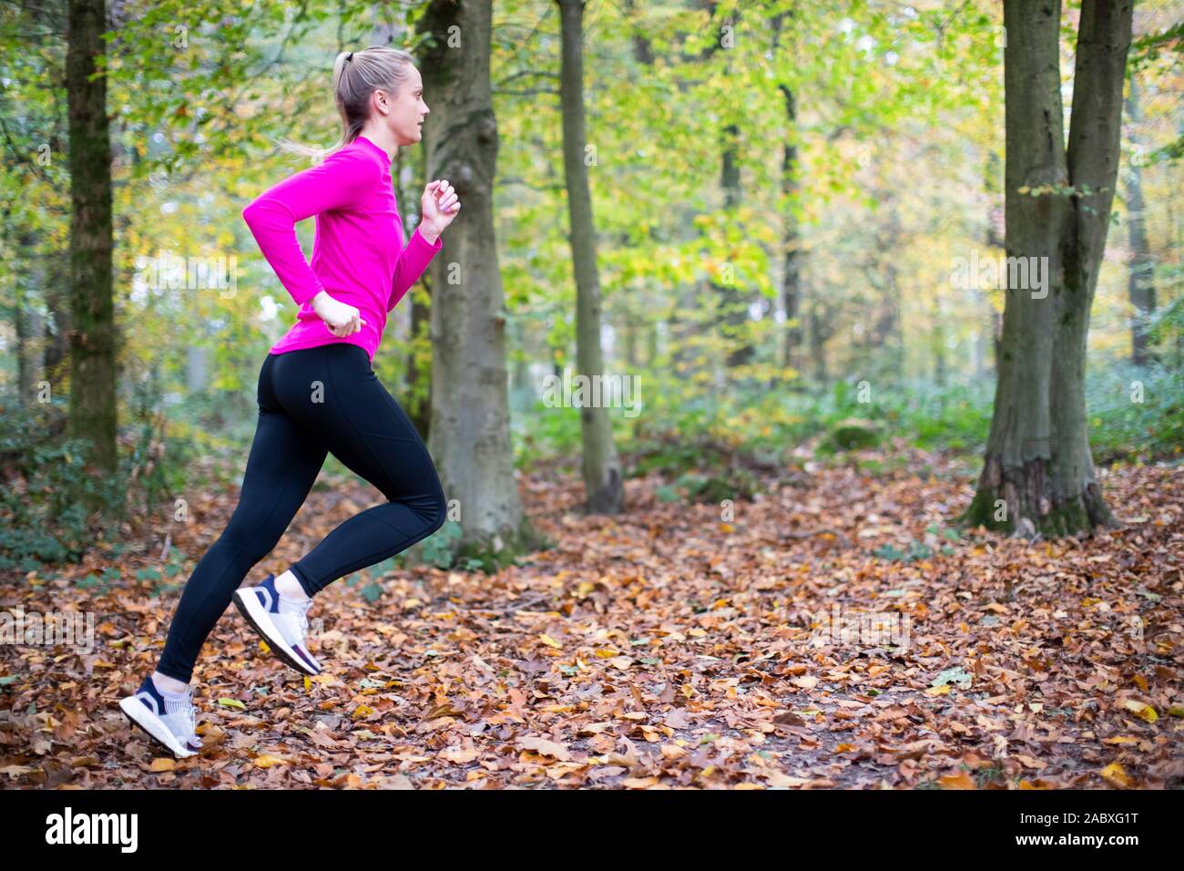 Frau am frühen Morgen Herbst laufen durch die Wälder Fit bleiben durch Bewegung Stockfoto