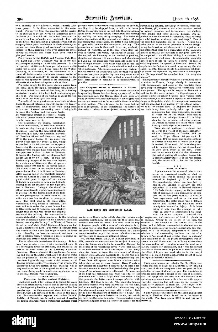 Die Schlachtung Rouse in Bezug auf die Krankheit. Fieber in Pflanzen. Schutz gegen Feuchtigkeit aus Hartmetall. Bulkley von Detroit hat eine Methode zur Beschichtung der Klumpen aus Hartmetall mit einem wasserdichten Material, das GATE HOUSE UND ANSCHLIESSEN KANAL entwickelt. "Jede Schlachtung Haus ist ein Zentrum der Krankheit, für die der Welt. Die Dropdown-liste woighs 3000 lb. und den Amboss 90000 Al., Scientific American, 1898-06-18 Stockfoto