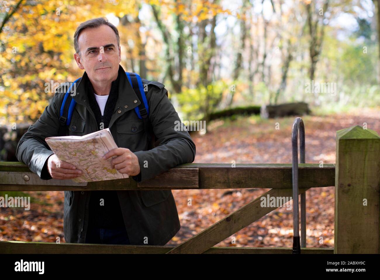 Aktive reifer Mann mit Karte Wandern durch den Herbst Wald in Zeitlupe Stockfoto