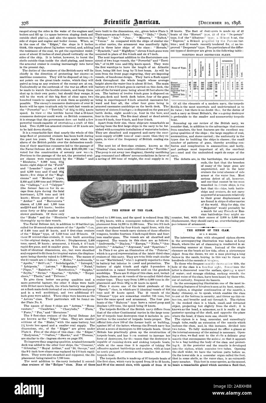 Der SIPHON DER CLAM. Von C.F. HALTER. trägt eine bemerkenswerte Drüse, die sondert eine Flüssigkeit, die den SIPHON DER CLAM., Scientific American, 1898-12-10 Stockfoto