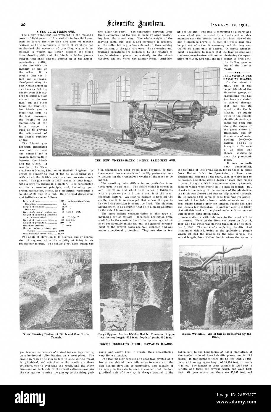 Bewässerung in der hawaiianischen Inseln. Die neuen Vickers- MAXIM 75-ZOLL SCHNELLFEUER GEWEHR großen Syphon über Maliko Gulch. Durchmesser ot Rohr 44 Zoll; Länge 815 m; Tiefe von gulch 350 Fuß. LOWRIE Bewässerung Graben; Hawaiianischen Inseln., Scientific American, 1901-01-12 Stockfoto