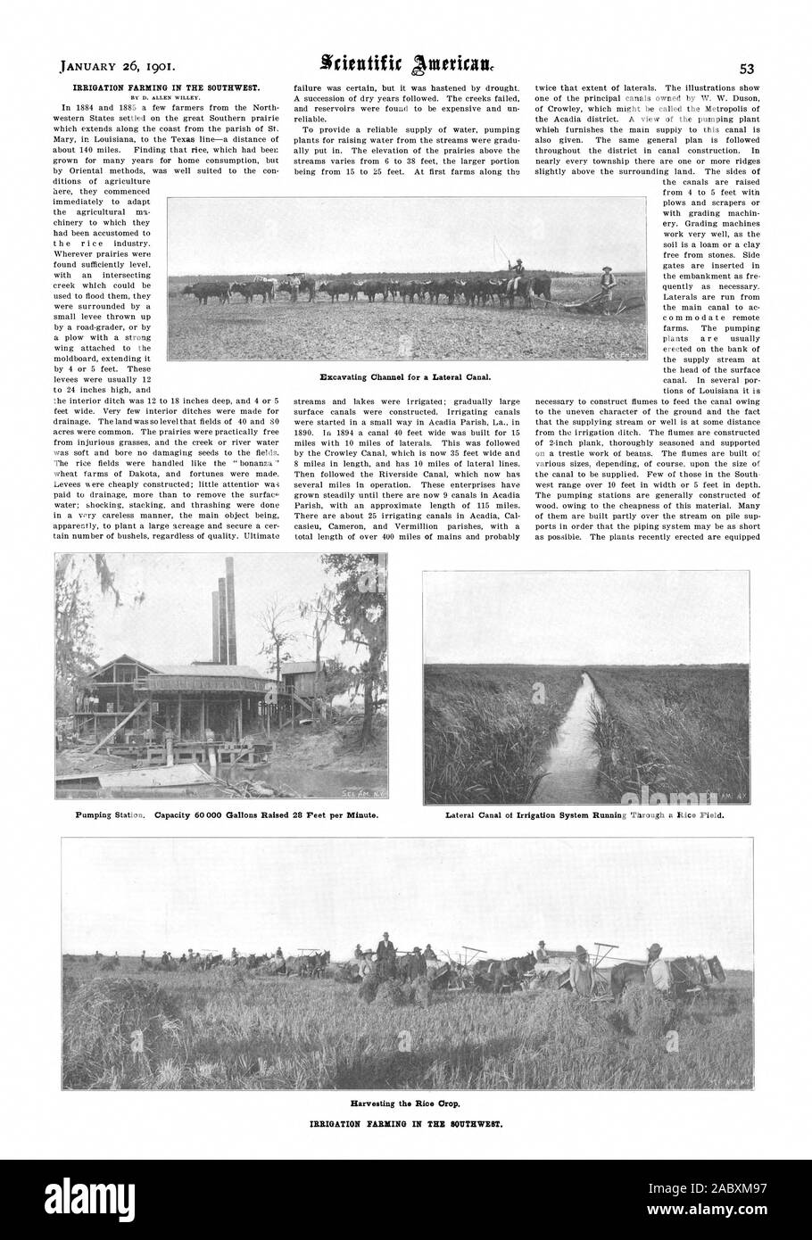 Die BEWÄSSERUNG DER LANDWIRTSCHAFT IM SÜDWESTEN. Durch D. ALLEN WILLEY. Ausheben Kanal für einen Seitenkanal. Seitenkanal der Bewässerung, die durch ein Reisfeld. Ernte der Rioe das Erntegut. Die BEWÄSSERUNG DER LANDWIRTSCHAFT IM SÜDWESTEN., Scientific American, 1901-01-26 Stockfoto