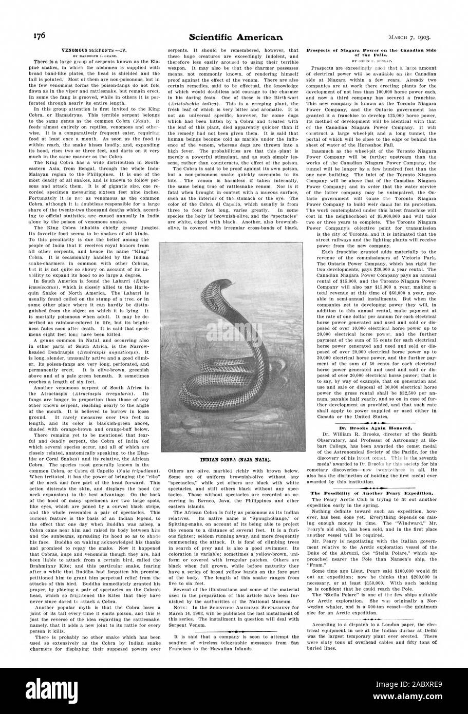Indische Kobra (NASA NAIA). Perspektiven der Niagara Power auf der kanadischen Seite der Wasserfälle. Dr. Brooks wieder geehrt. Die Möglichkeit einer anderen Peary Expedition., Scientific American, 1903-03-07 Stockfoto