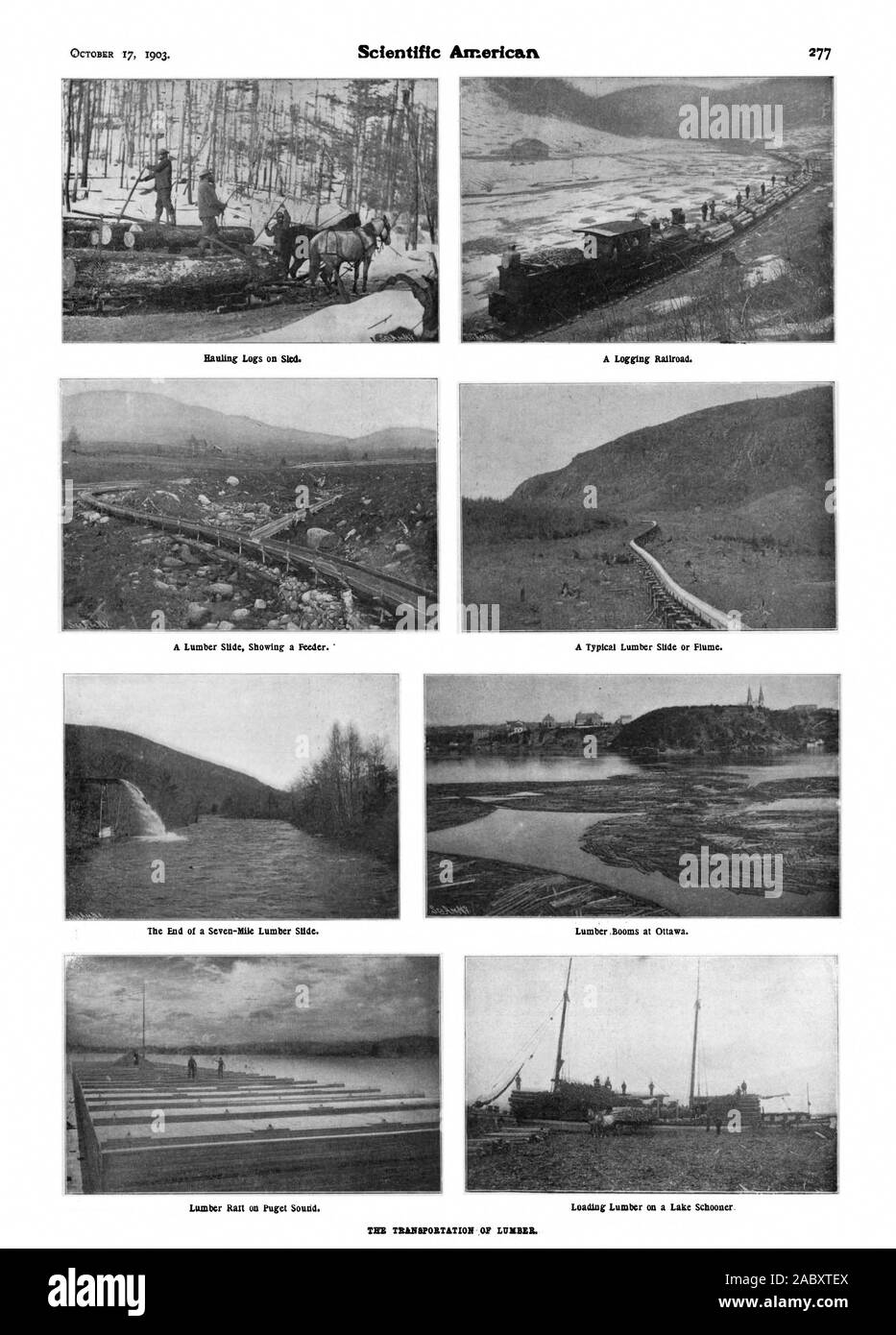 Das Schleppen von Protokollen auf Schlitten. Ein Logging Railroad. Ein Bauholz Folie eine Zuführung. Das Ende einer seven-mile Bauholz schieben. Schnittholz Booms in Ottawa. Schnittholz Rail am Puget Sound. Die TRANAPORTATION von Bauholz. Eine typische Bauholz Folie oder Flume., Scientific American, 1903-10-17 Stockfoto