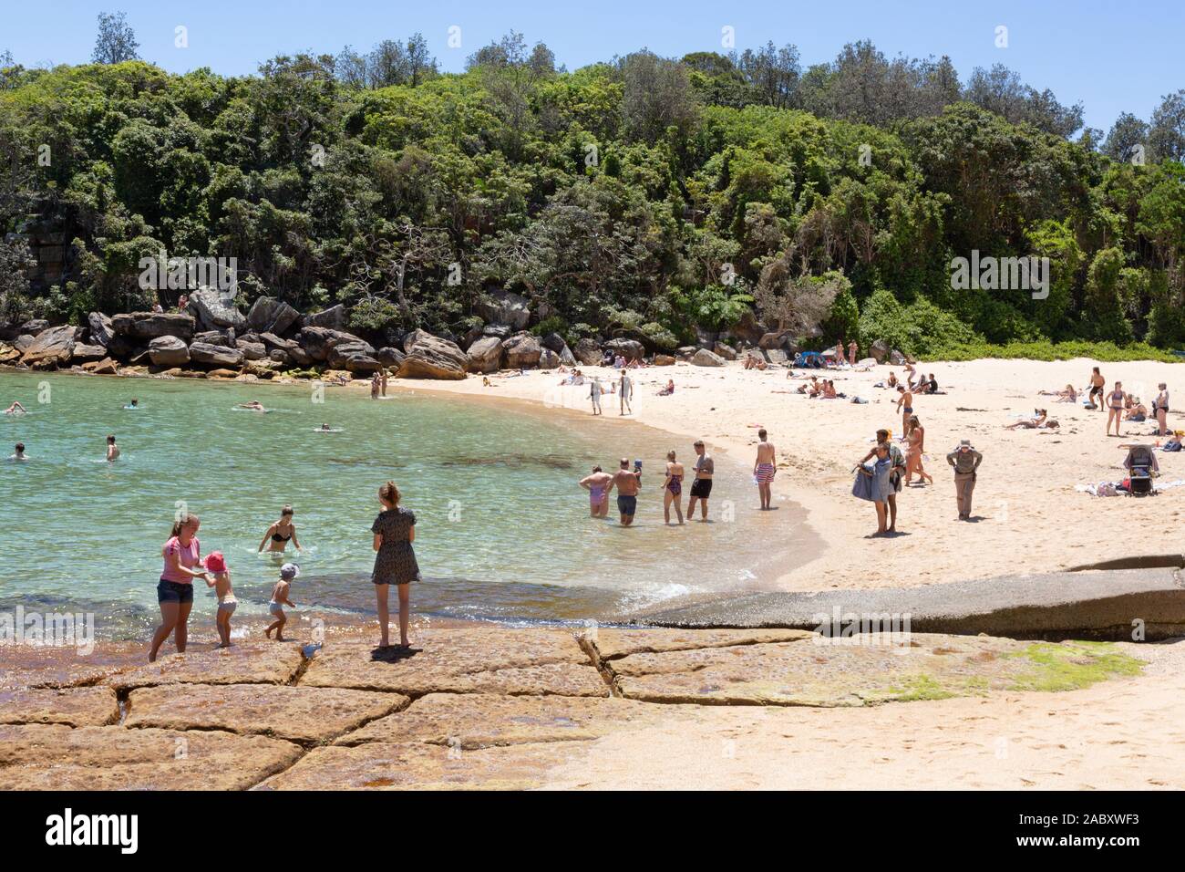Sydney Strand - Shelly Beach, Manly, Sydney an einem sonnigen Frühlingstag im November, Sydney, Australien Stockfoto