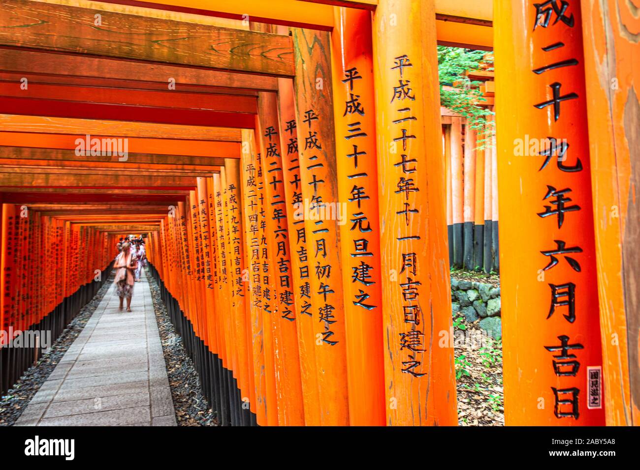 Kyoto Fushimi ku, Japan, Asien - September 5, 2019: senbon Torii, die Reihe der Torii Gates im Fushimi Inari taisha, Stockfoto