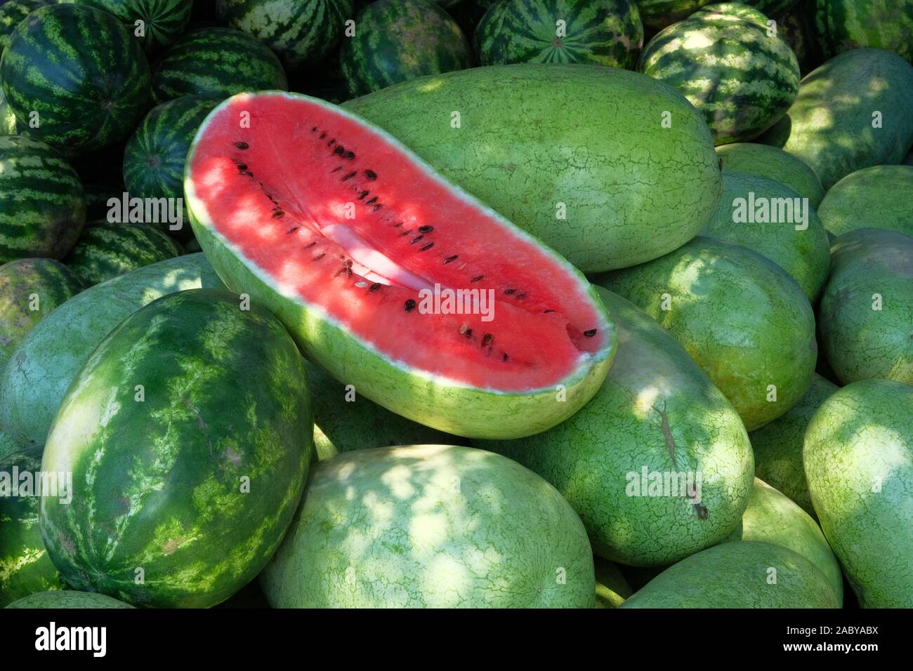 Wassermelonen sind an den lokalen Farmers Market nach der Ernte verkauft. Das gesunde Essen. Herbst Ernte. Stockfoto