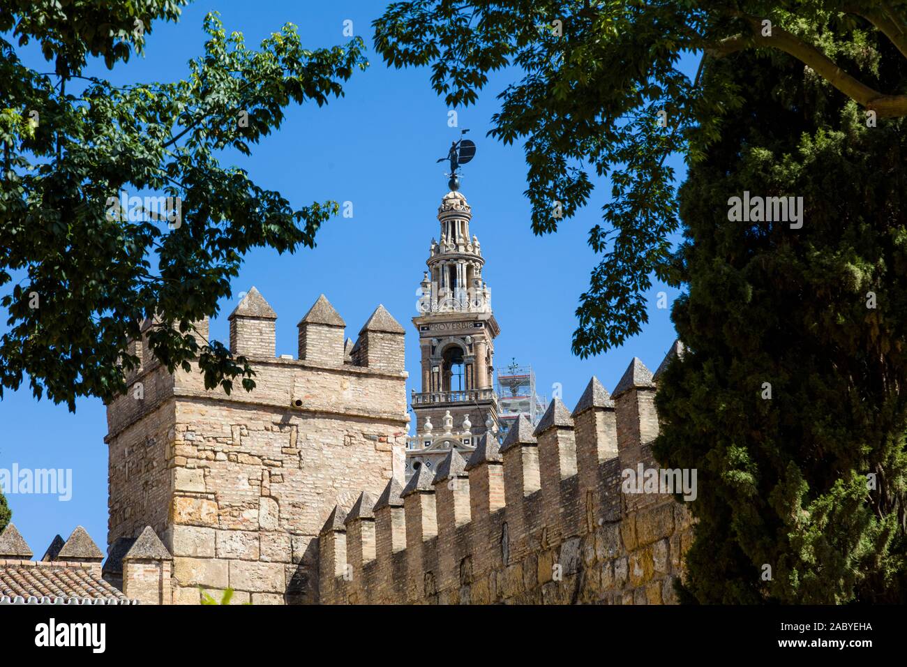 Real Alcazar De Sevilla, der königliche Alcázar von Sevilla ist ein königlicher Palast in Sevilla Andalusien Spanien Stockfoto