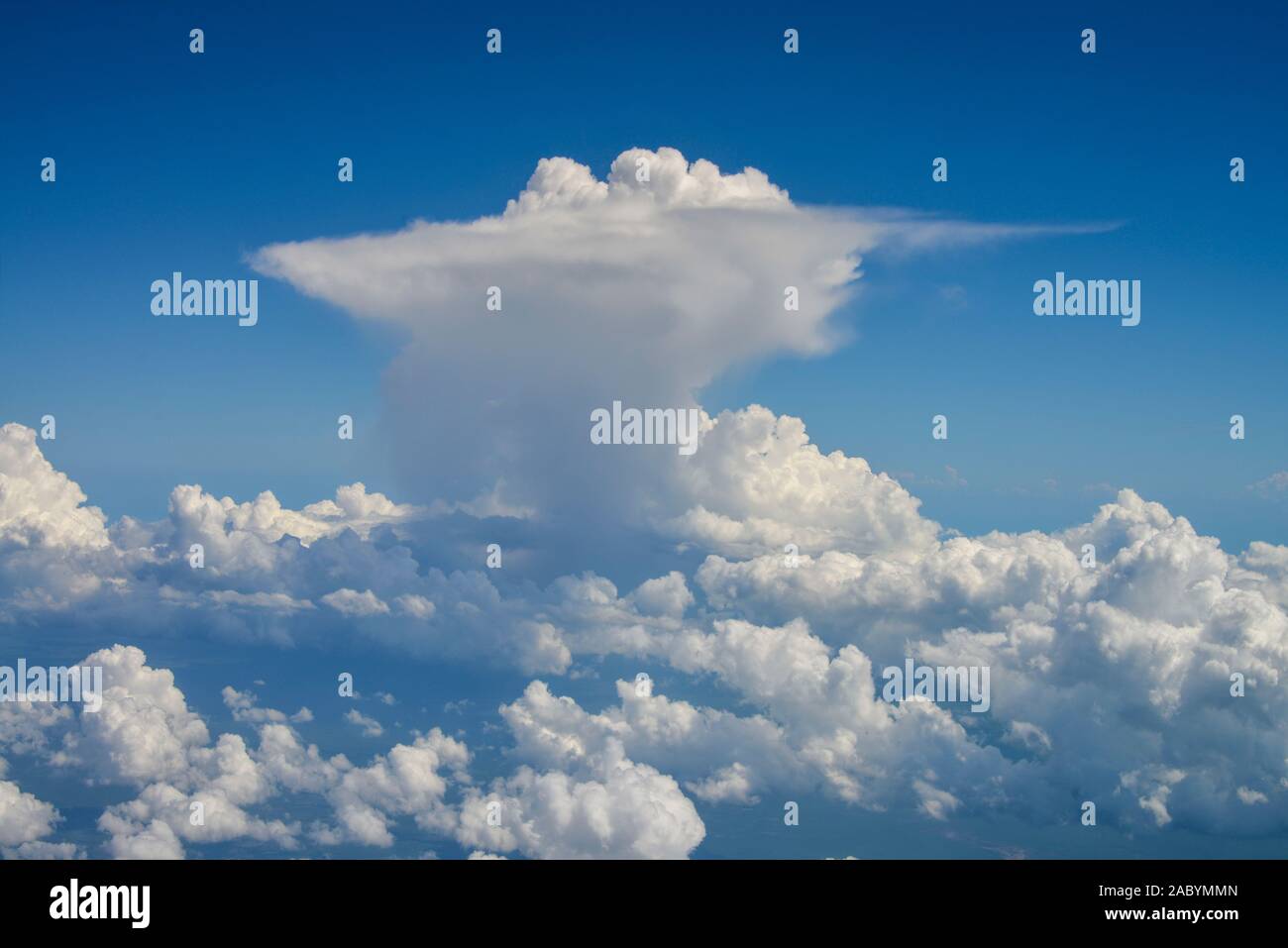 Gewitterwolke (Cumulonimbus) Stockfoto