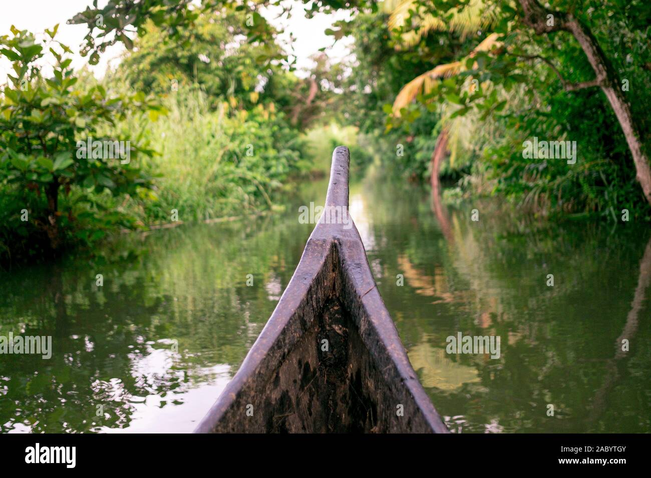 Reiten Holz Fischerboot in Kerala backwaters Dorf Wasser Kanal unter Palmen, einem unberührten natürlichen Umgebung während der Monsunzeit Stockfoto