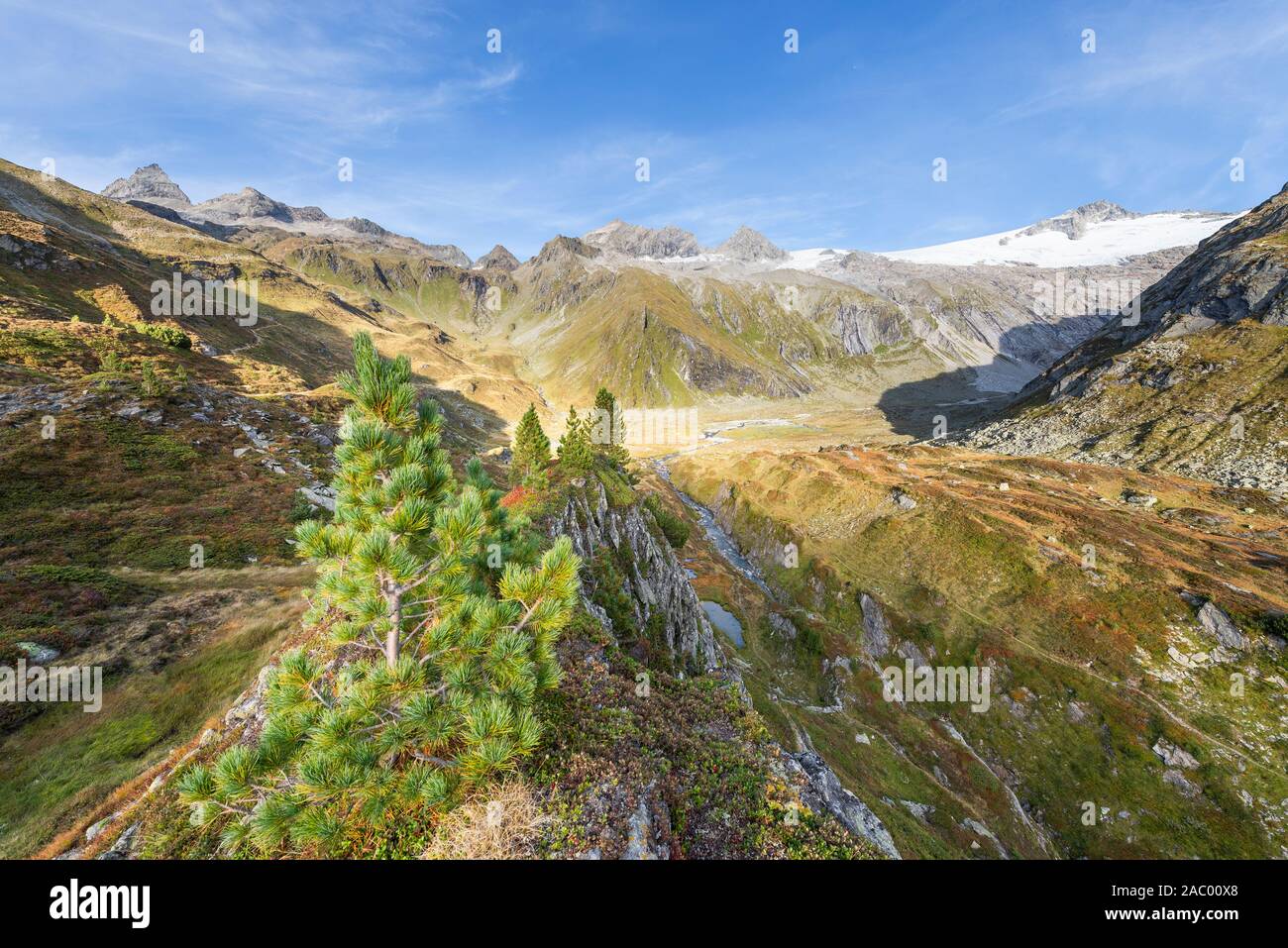 Alpenpanorama mit Gipfeln und Gletschern auf den Berliner Höhenweg in einem Gletscher Tal oberhalb der Berliner Hütte in der Abendsonne, Zillertal, Tirol, Österreich Stockfoto