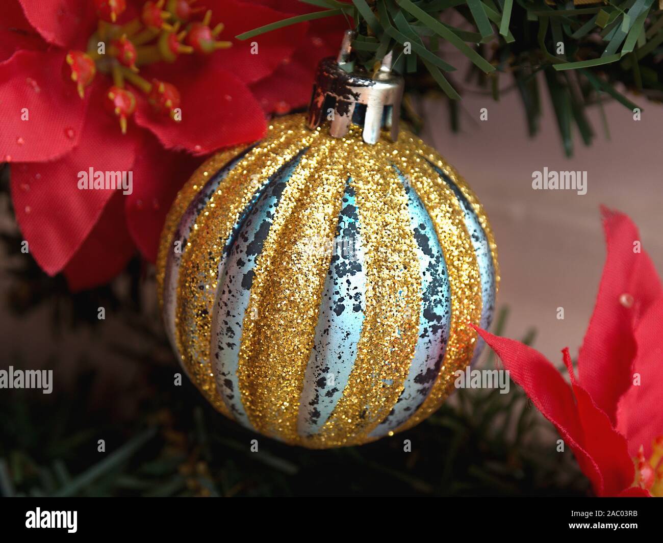 Golden Christmas Ball mit silbernen Streifen und einige Glitter, schräg daneben Ausschnitte der künstlichen red christmas Stars und eine Zweigniederlassung einer Tanne Bran Stockfoto