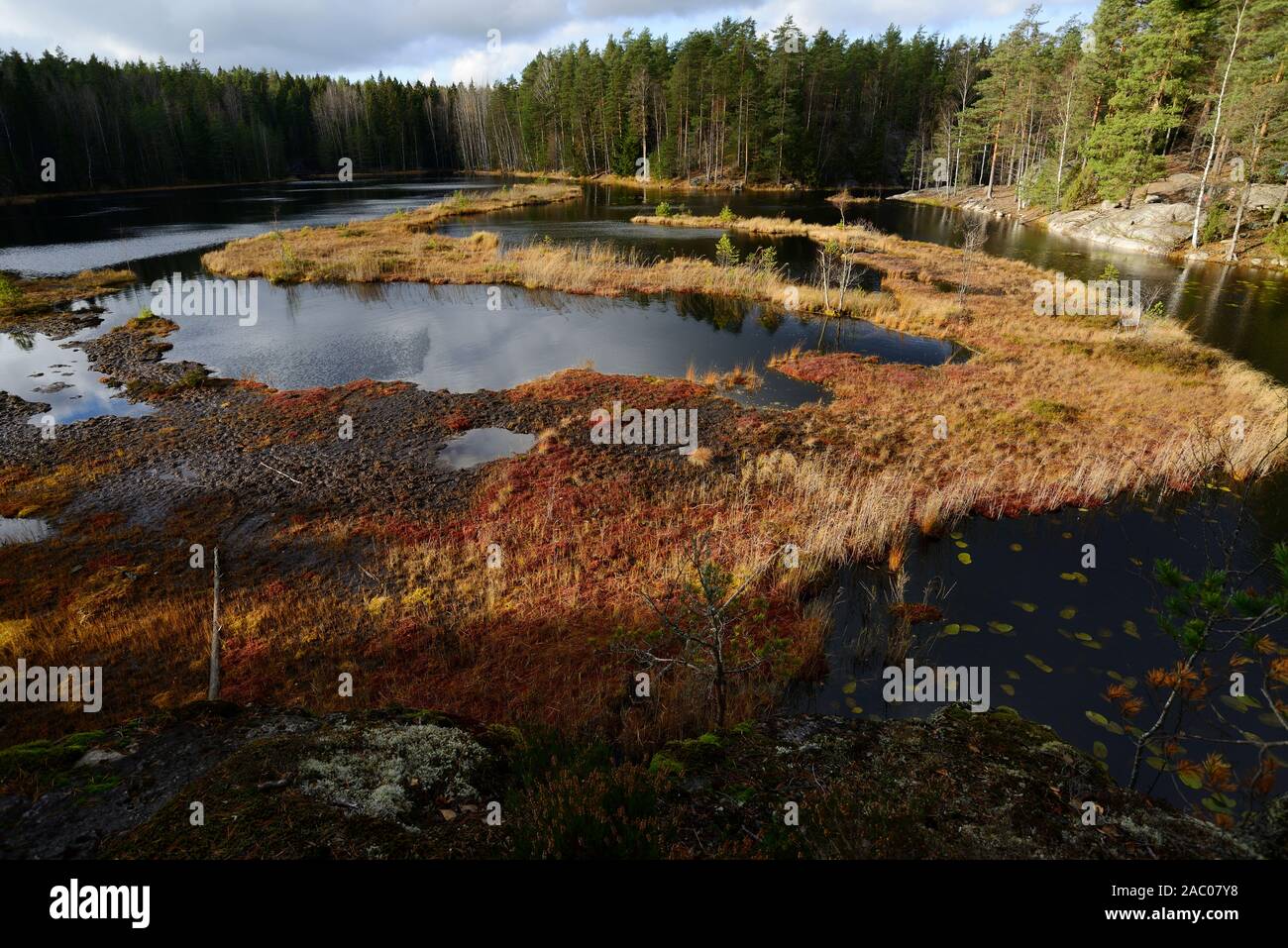 Ansicht einer sumpfigen See im Herbst in Finnland Stockfoto