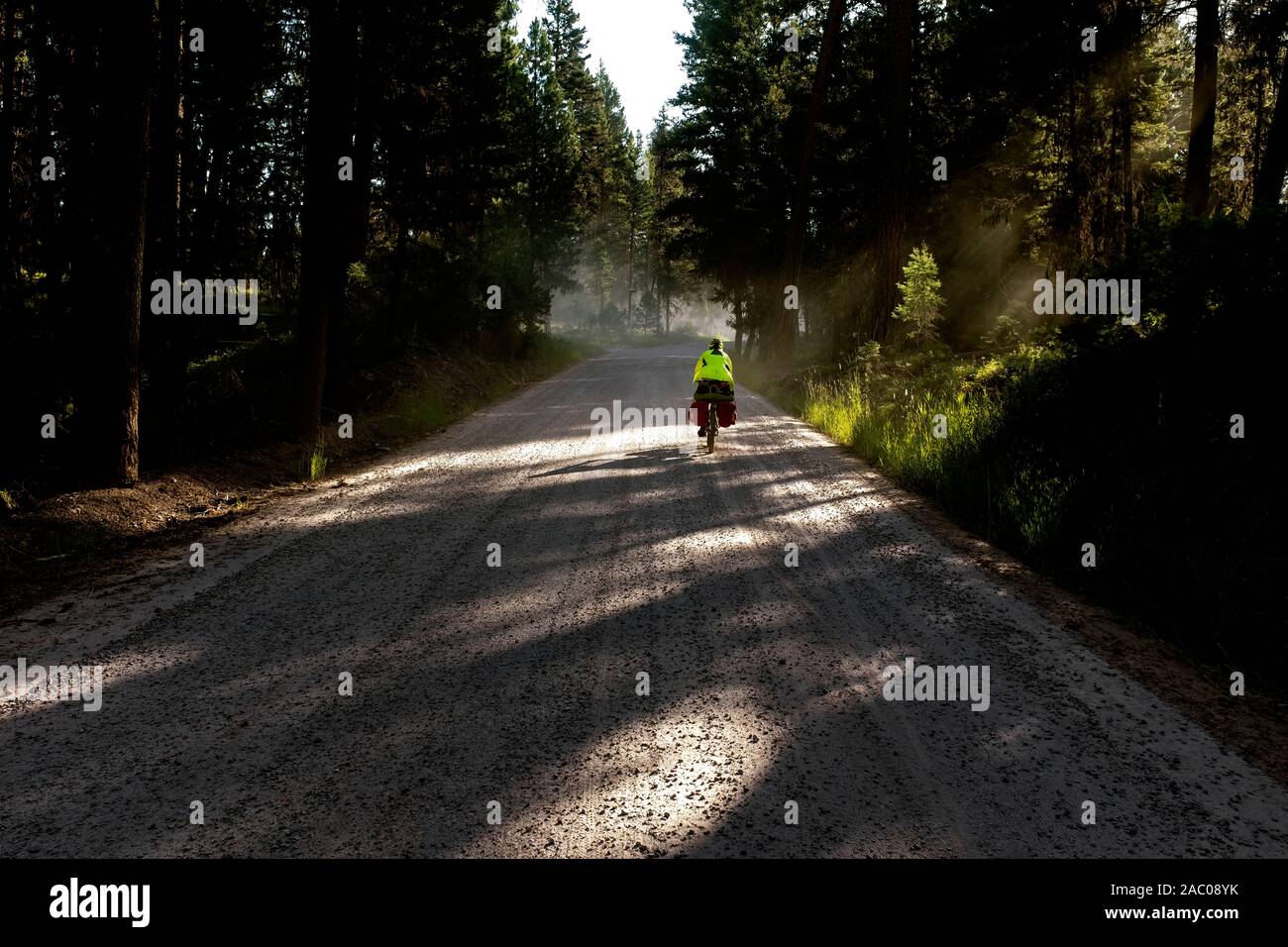 MT 00360-00 ... MONTANA - am frühen Morgen Licht auf die Große Mountainbike Route in der Nähe von Seeley Lake, Missoula Divide County. Stockfoto