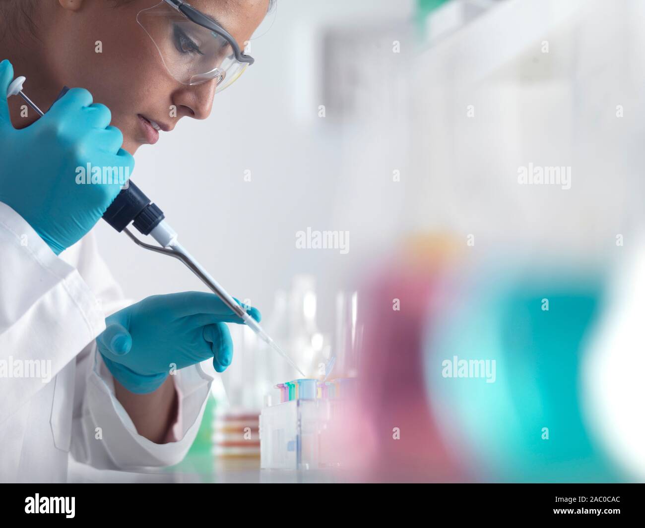 Wissenschaftler pipettieren Proben in Mikrozentrifugenröhrchen bereit für die automatisierte Analyse. Stockfoto