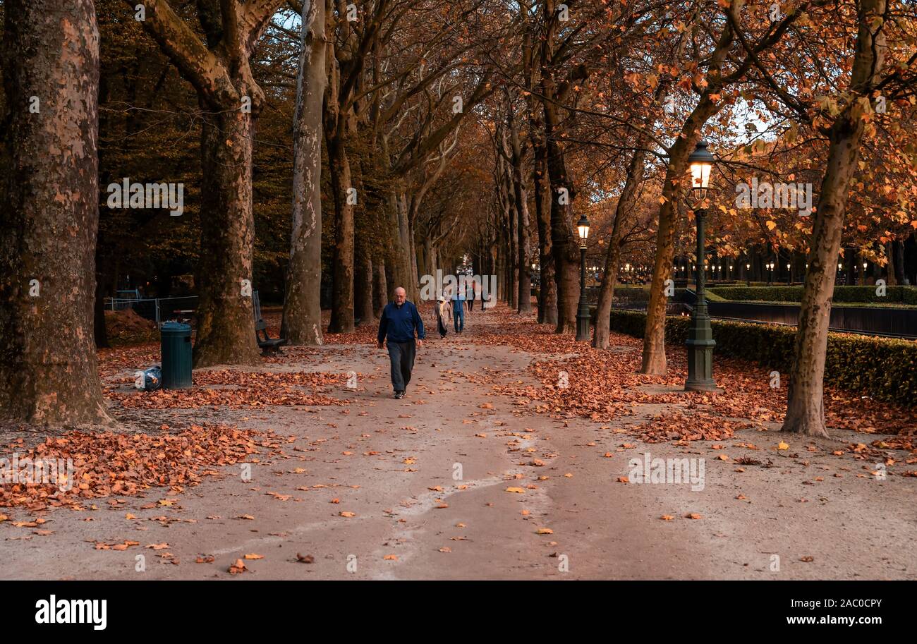 Koekelberg, Region Hauptstadt Brüssel/Belgien - 10 30 2019: Maghreb Menschen zu Fuß durch den Park mit Blätter im Herbst Stockfoto