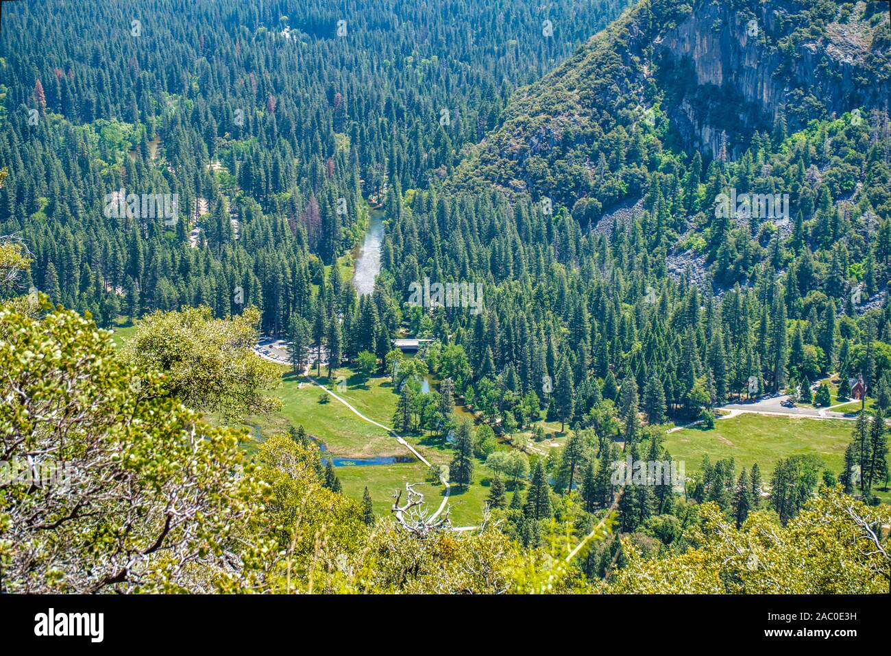 Ansicht von oben auf den grünen Wald und kleiner Fluss im Tal des Yosemite National Park, Kalifornien, USA Stockfoto