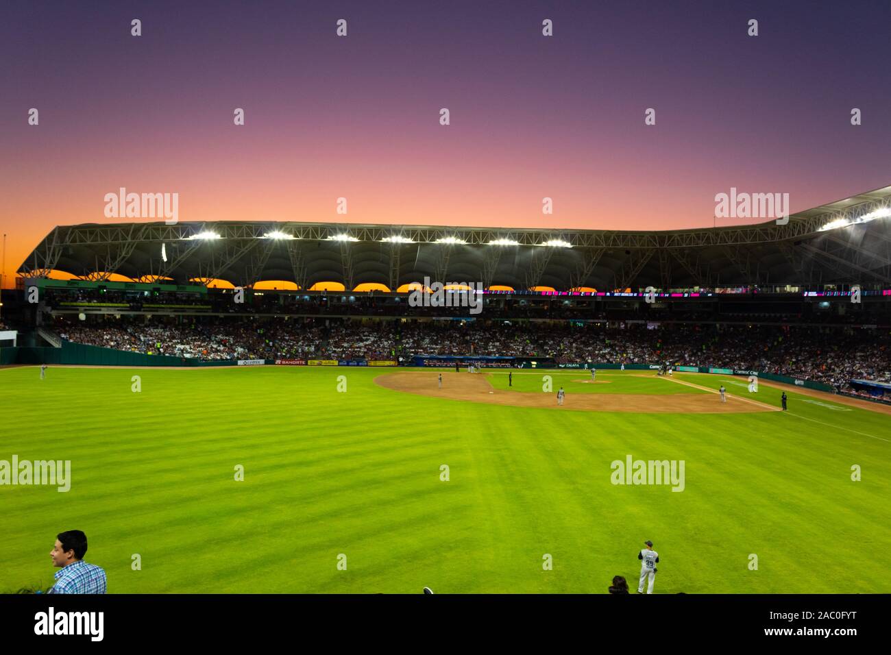Tomateros Fotos und Bildmaterial in hoher Auflösung Alamy