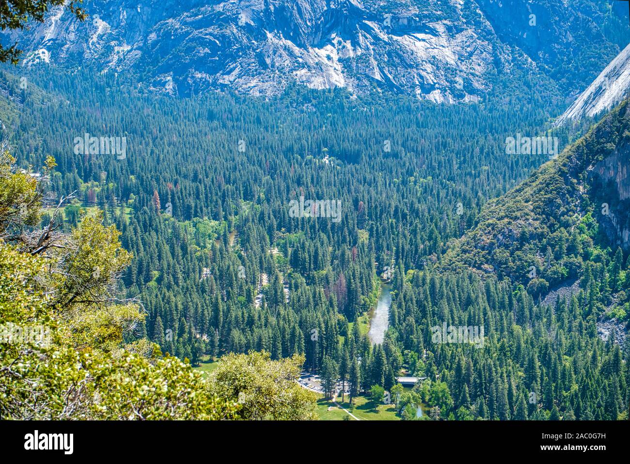 Ansicht von oben auf den grünen Wald und kleiner Fluss im Tal des Yosemite National Park, Kalifornien, USA Stockfoto