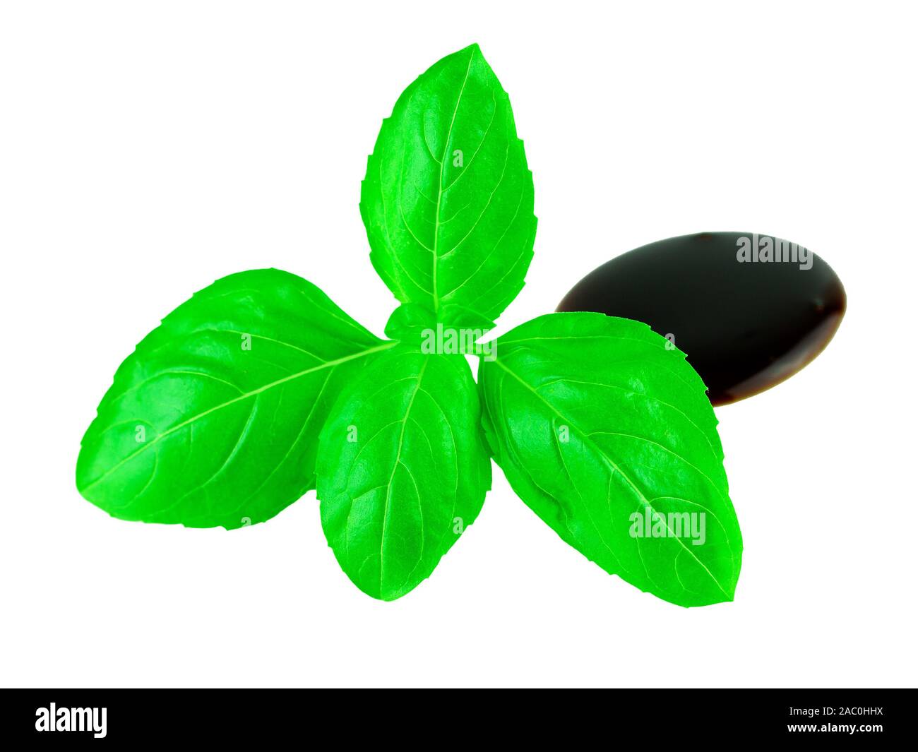 Basil leaf mit Balsamico-essig auf Weiß. Italienische Küche Küche Konzept Stockfoto